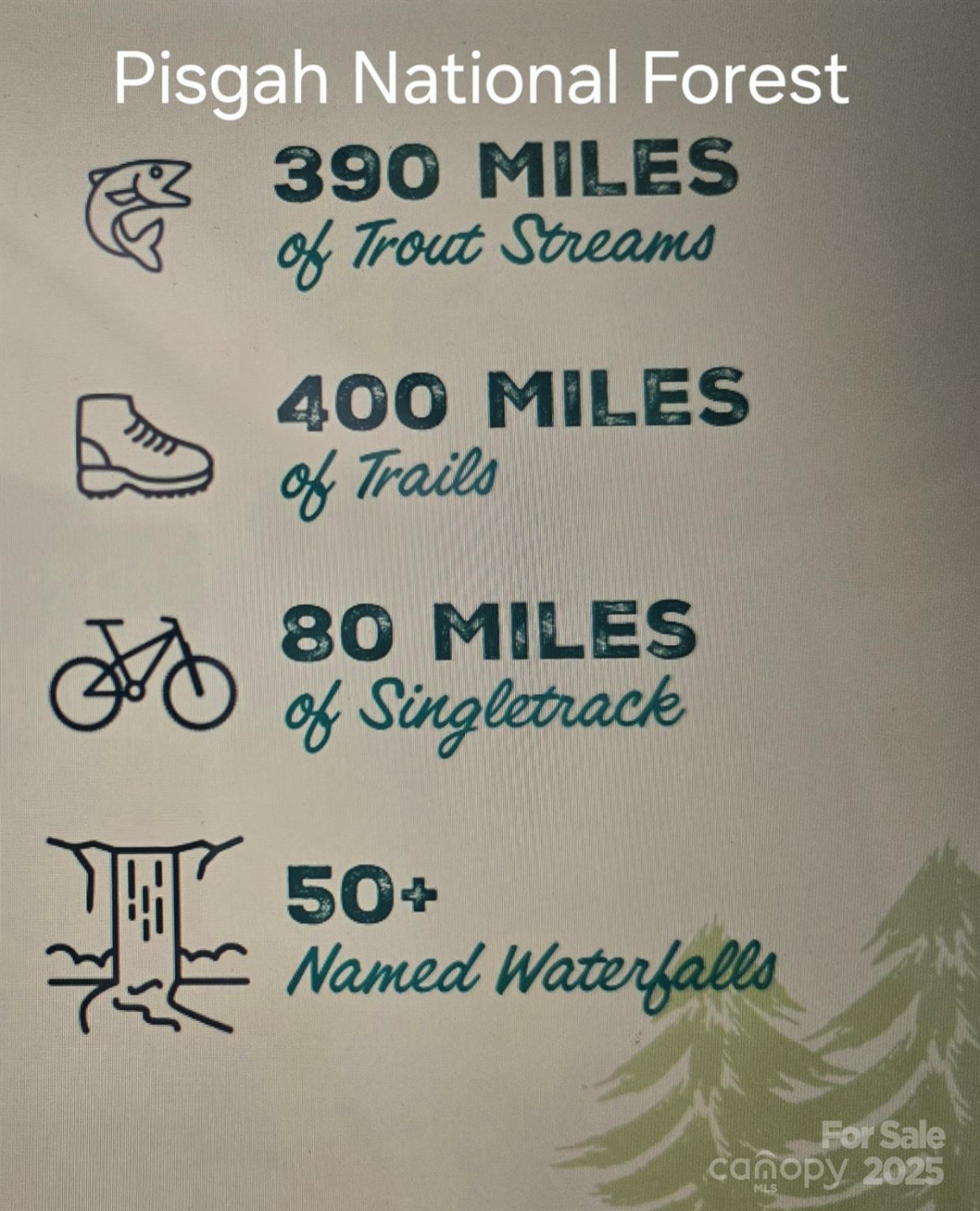 11 Reserve Road - Photo 31