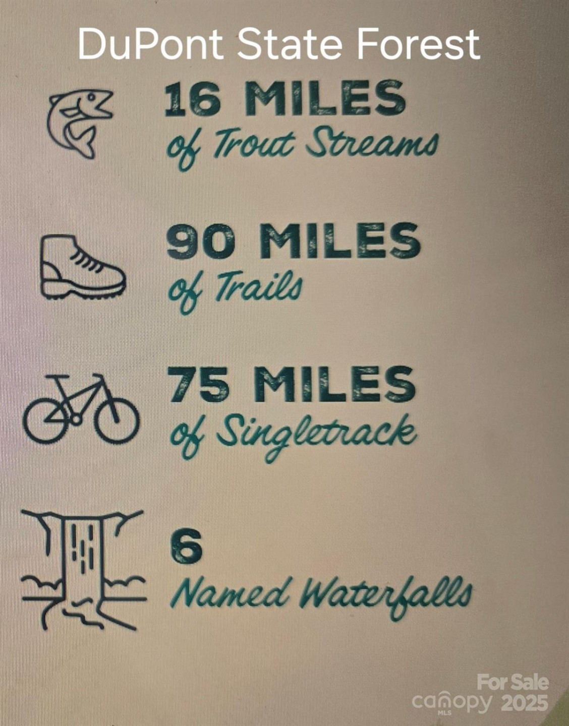 11 Reserve Road - Photo 33