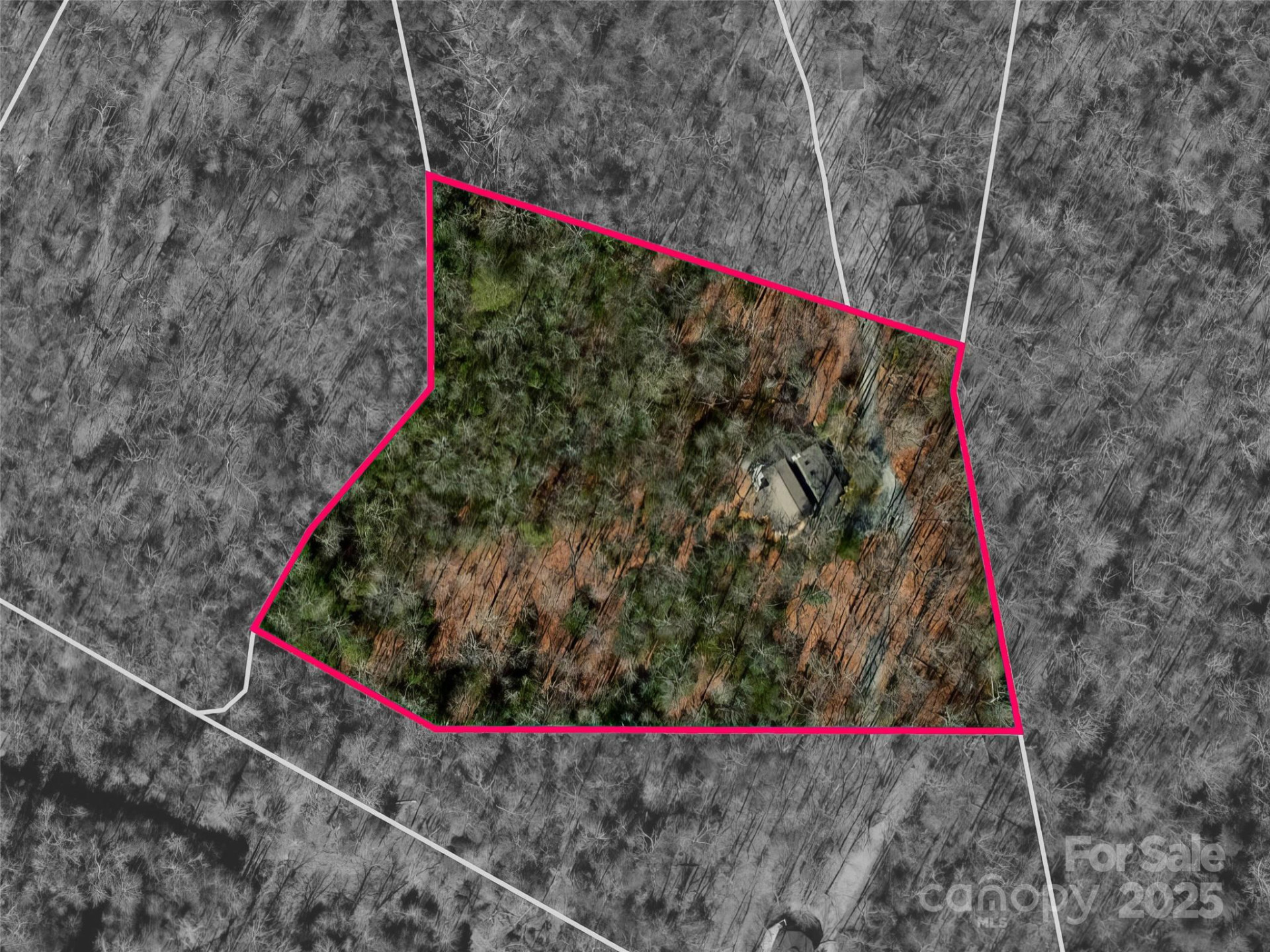 210 Ballard Road - Photo 35