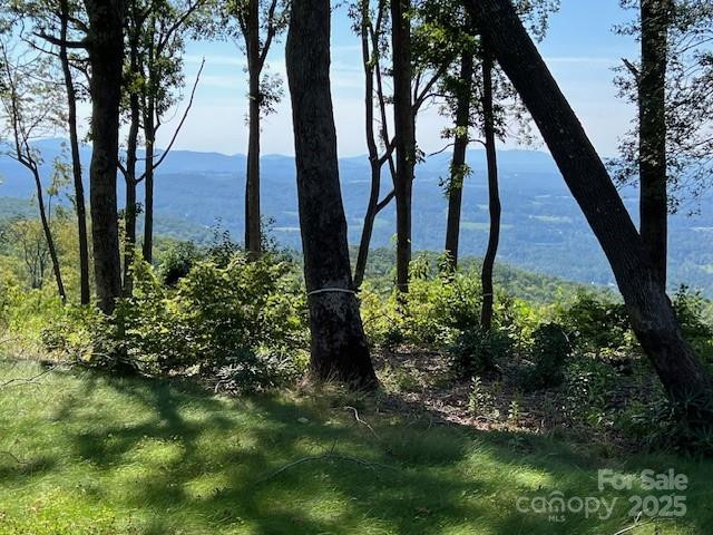 462 Garden Trail #37 - Photo 3