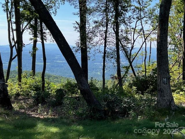 462 Garden Trail #37 - Photo 4