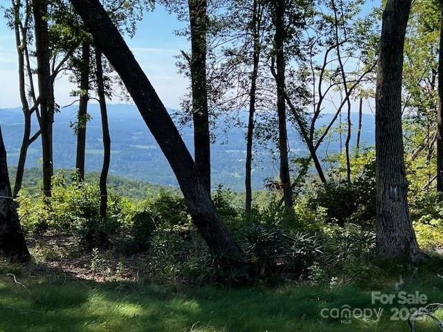 462 Garden Trail #37 - Photo 4