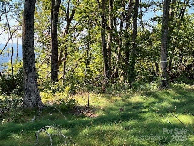 462 Garden Trail #37 - Photo 5