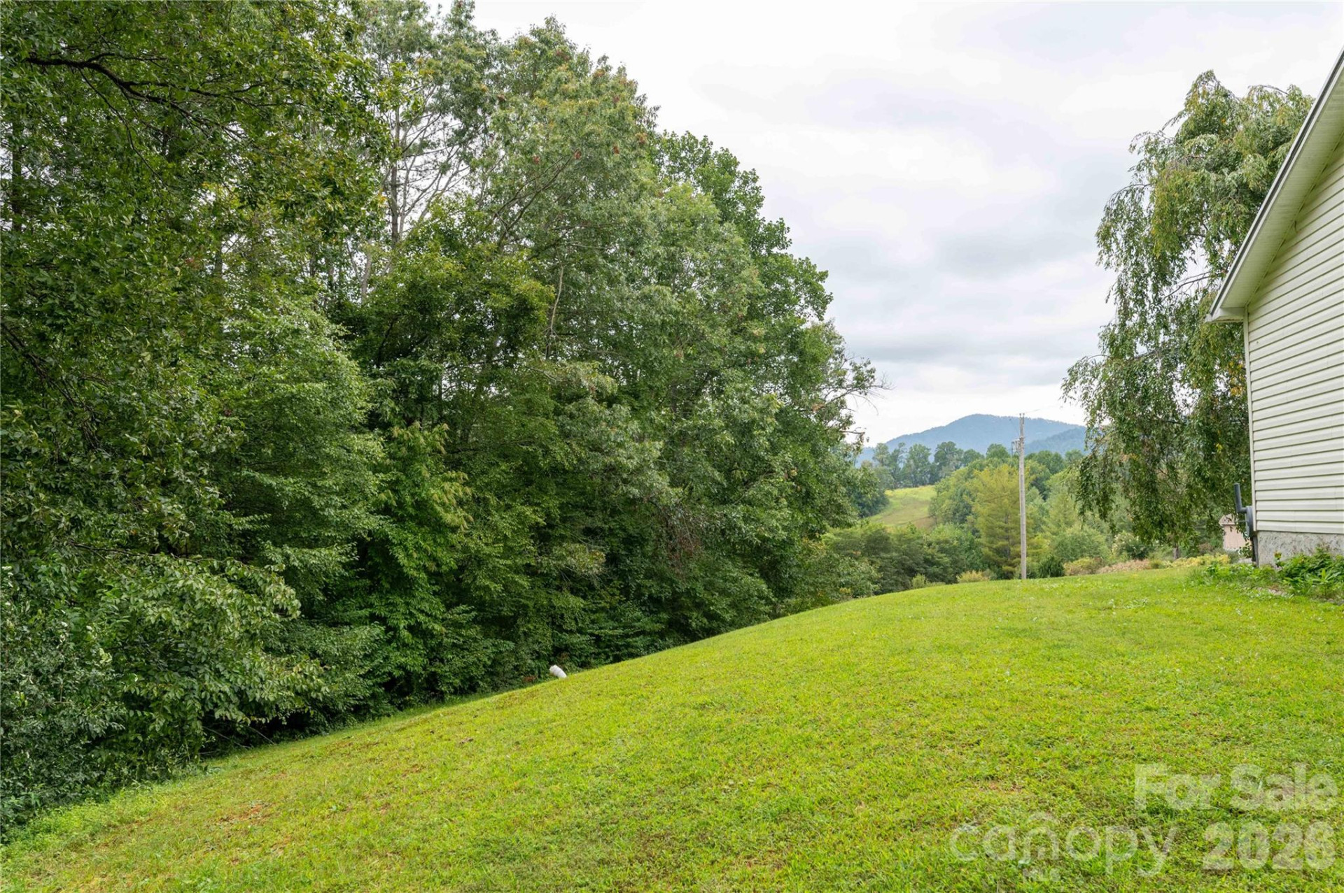 98 Cardinal Lane - Photo 33