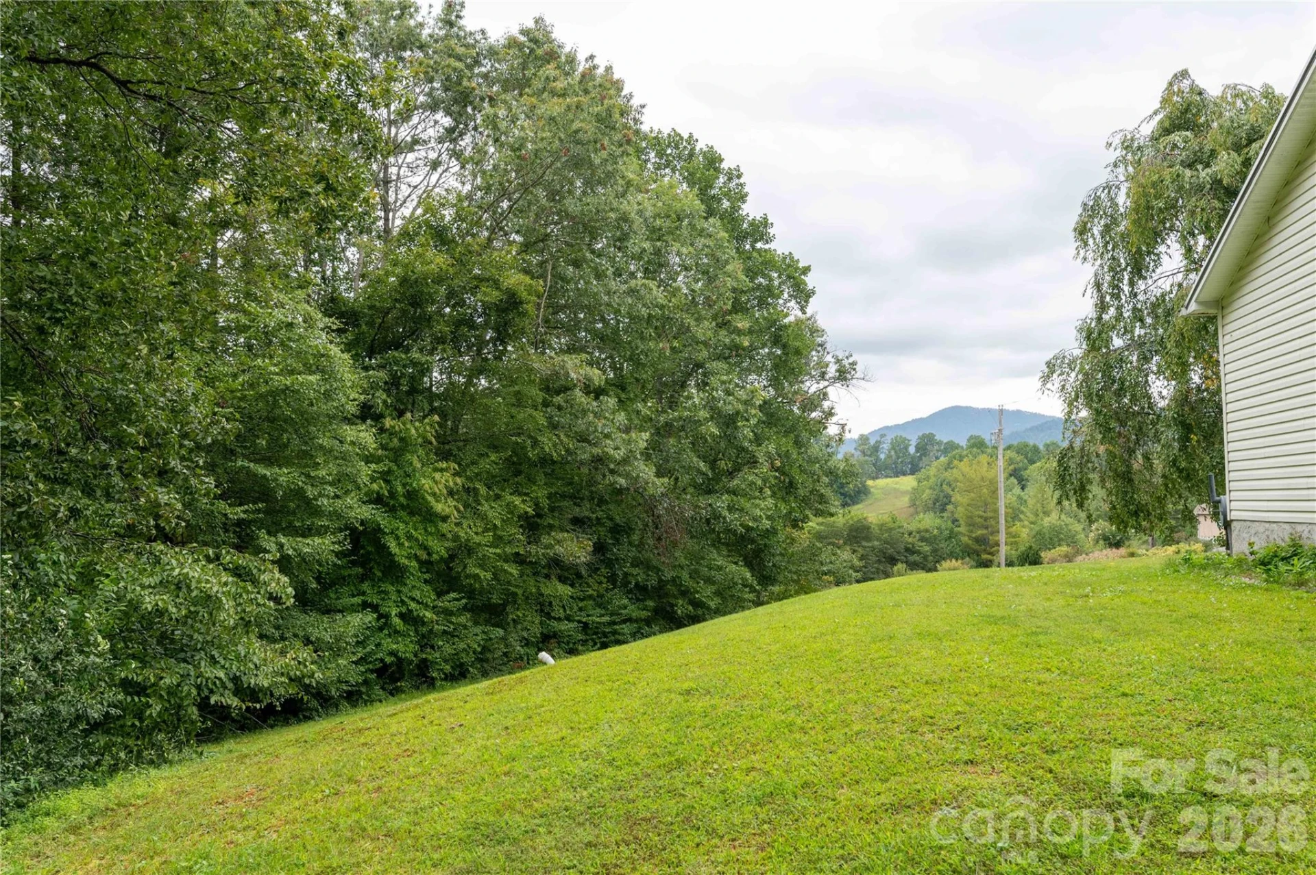 98 Cardinal Lane - Photo 33