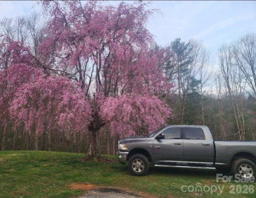 98 Cardinal Lane - Photo 59