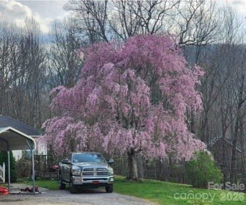 98 Cardinal Lane - Photo 61