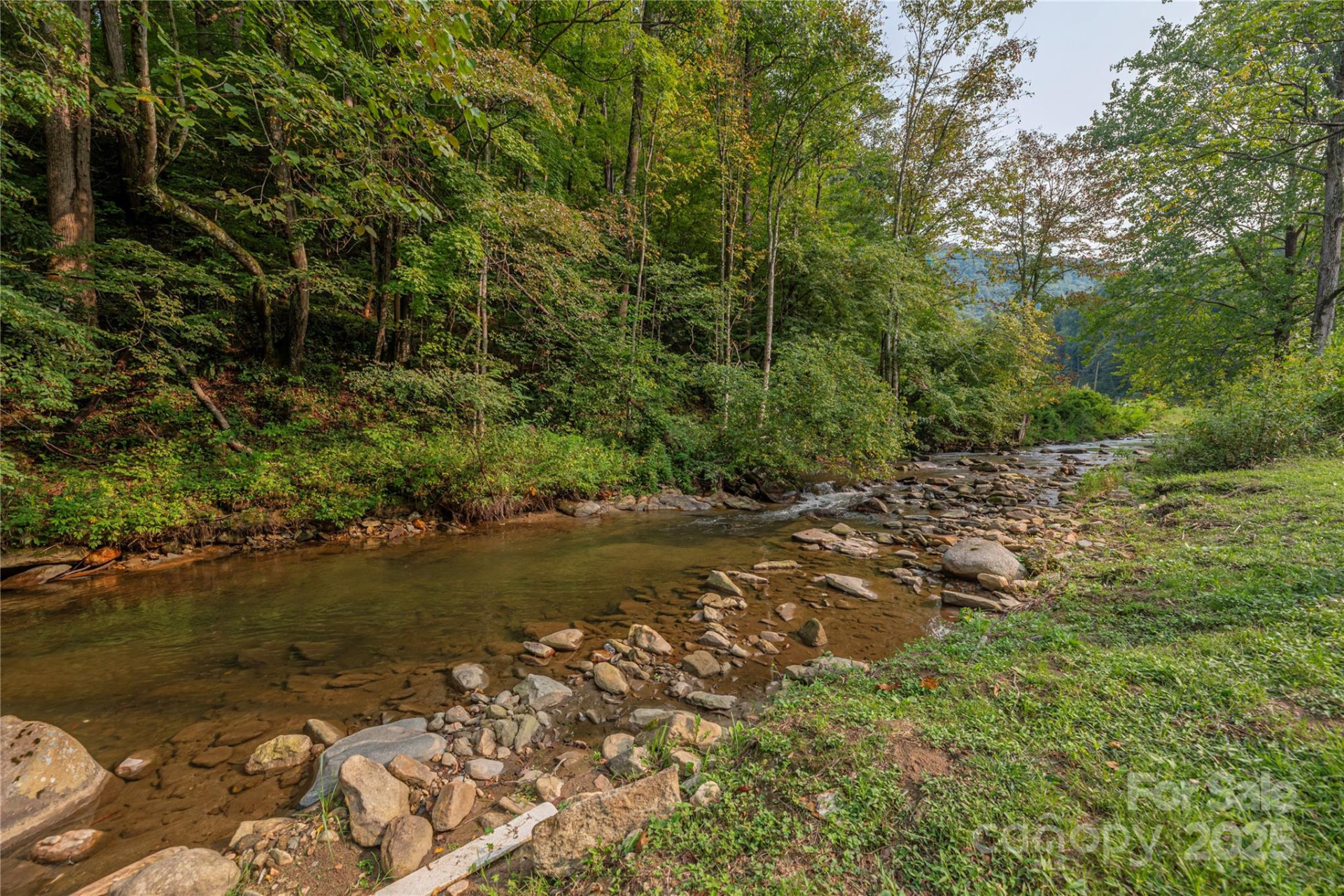 9781 Nc 209 Highway - Photo 30