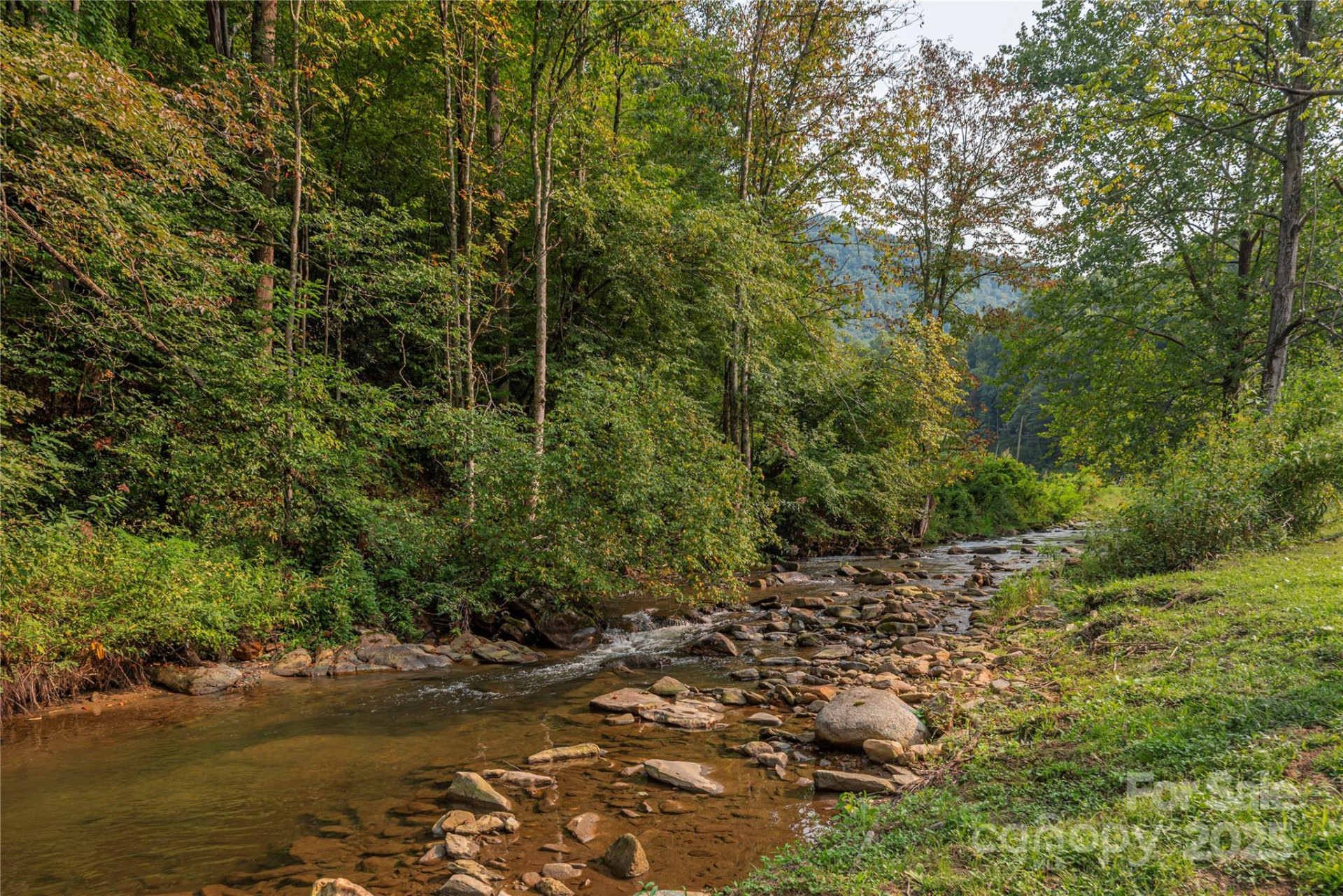 9781 Nc 209 Highway - Photo 31