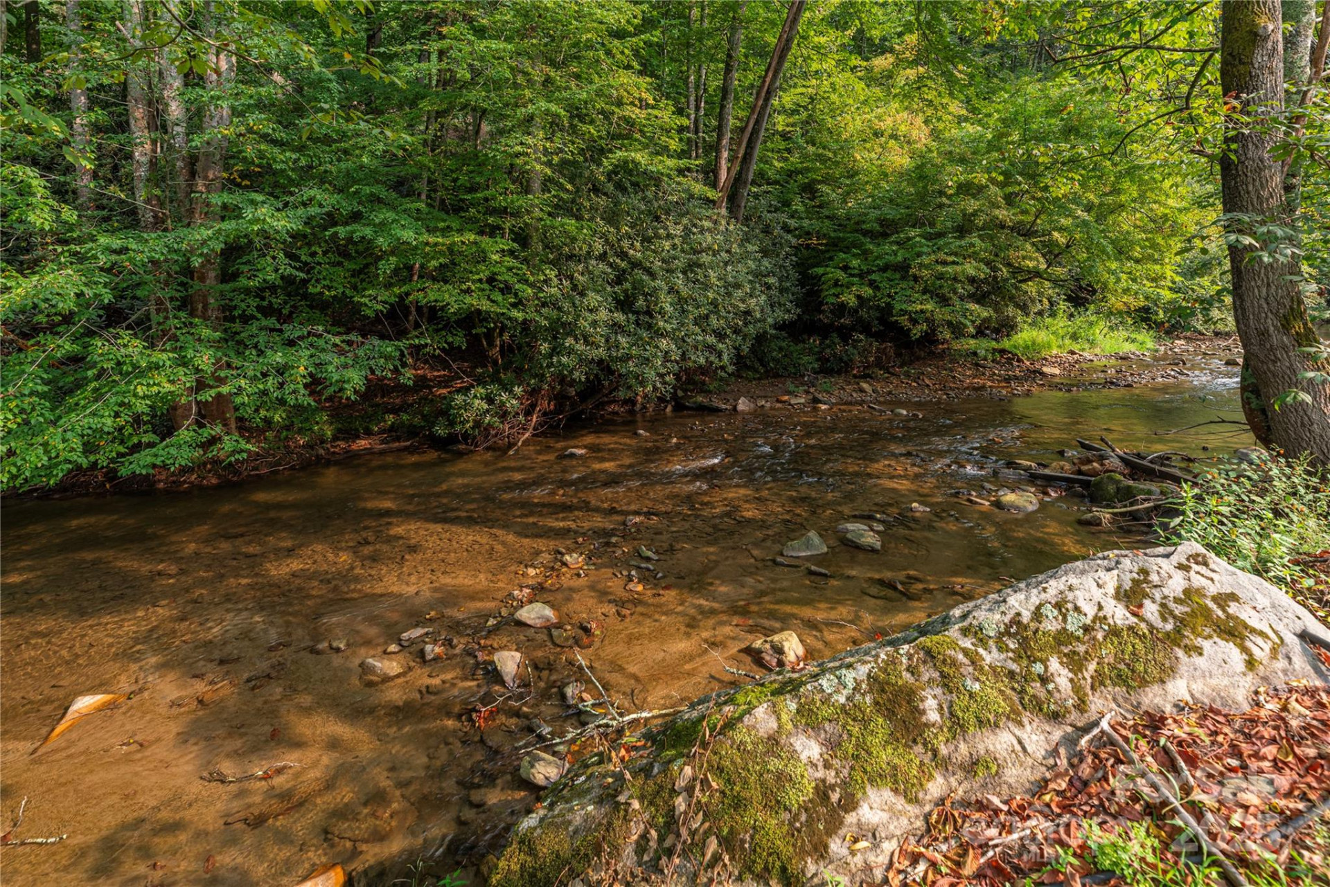 9781 Nc 209 Highway - Photo 34