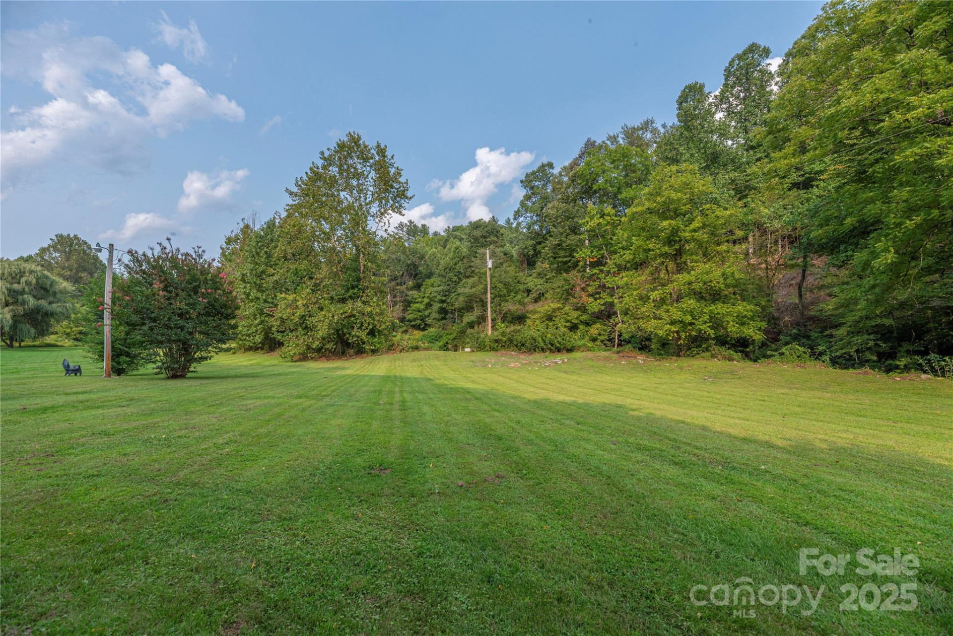 9781 Nc 209 Highway - Photo 36