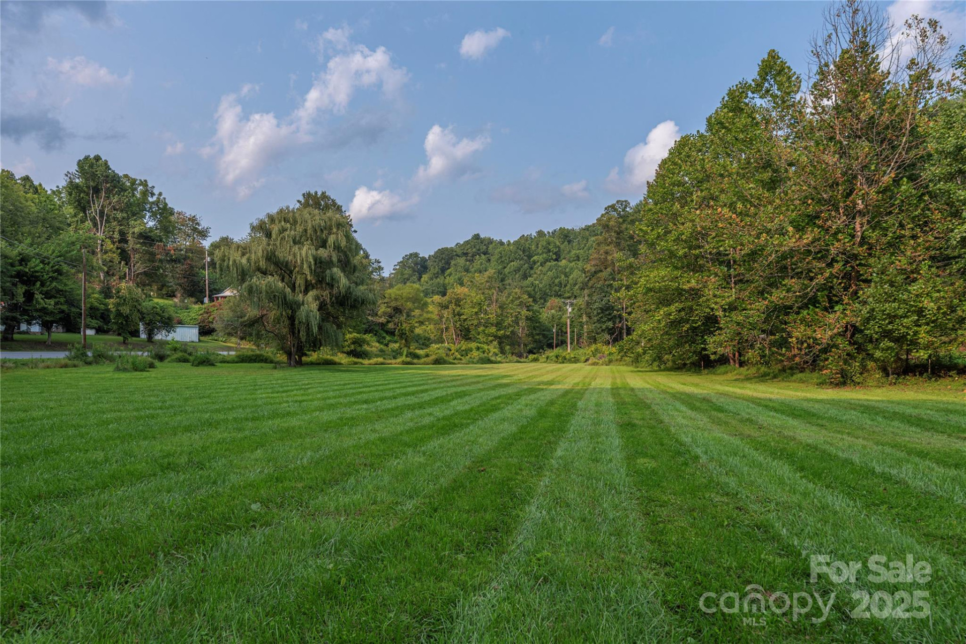 9781 Nc 209 Highway - Photo 39