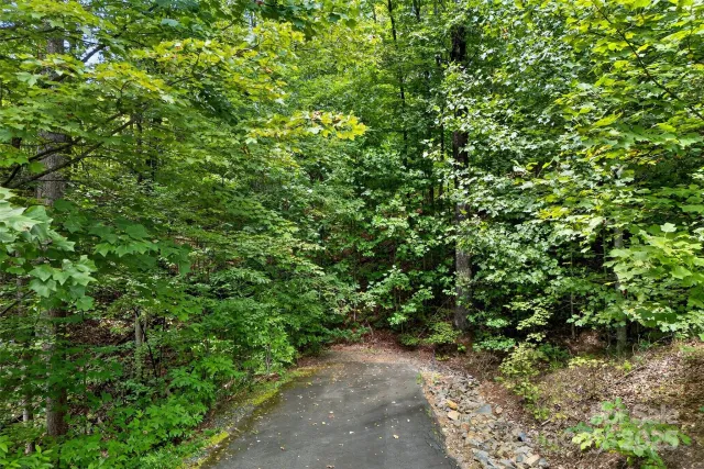 100 Comet Falls Trail