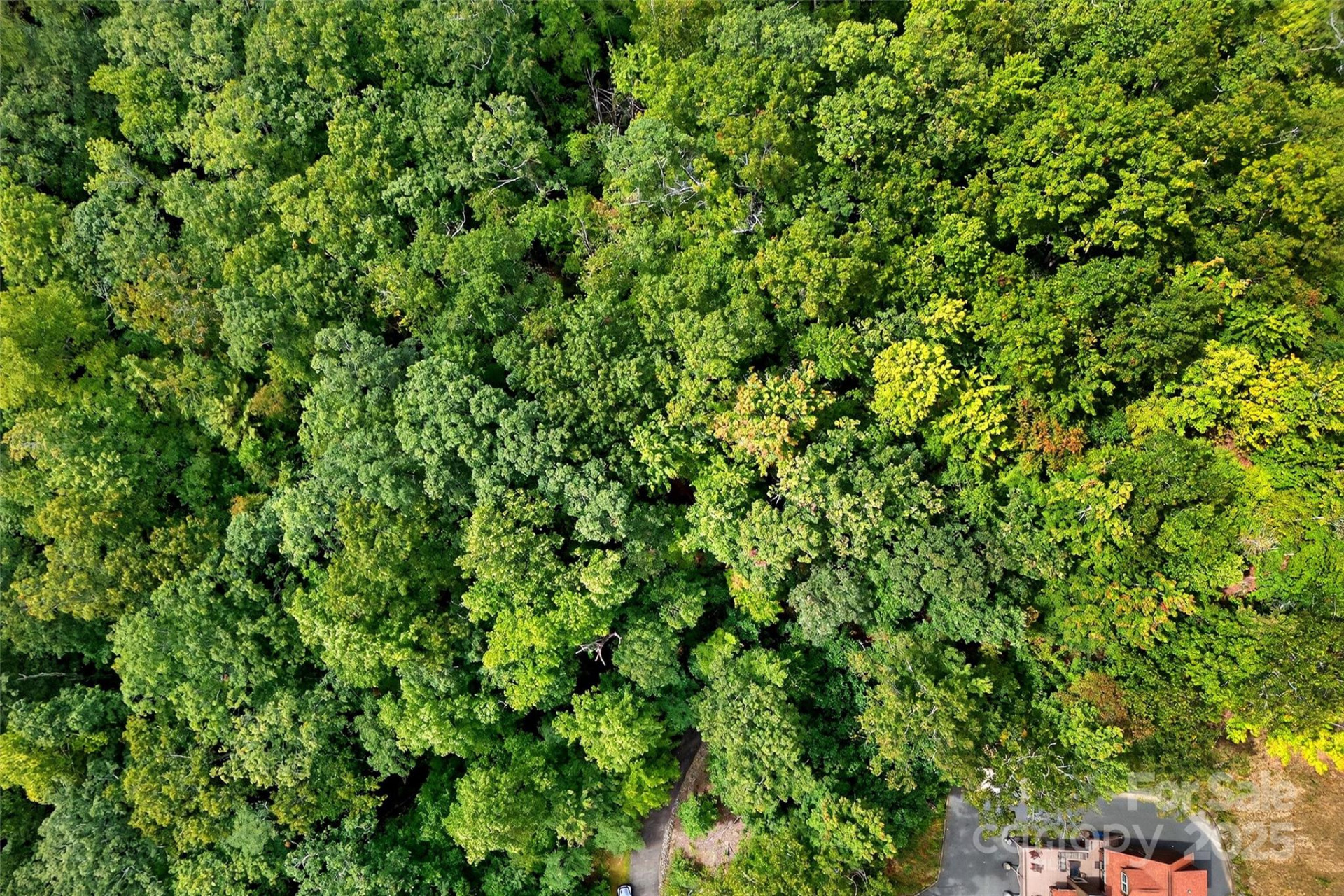 100 Comet Falls Trail #235 - Photo 15