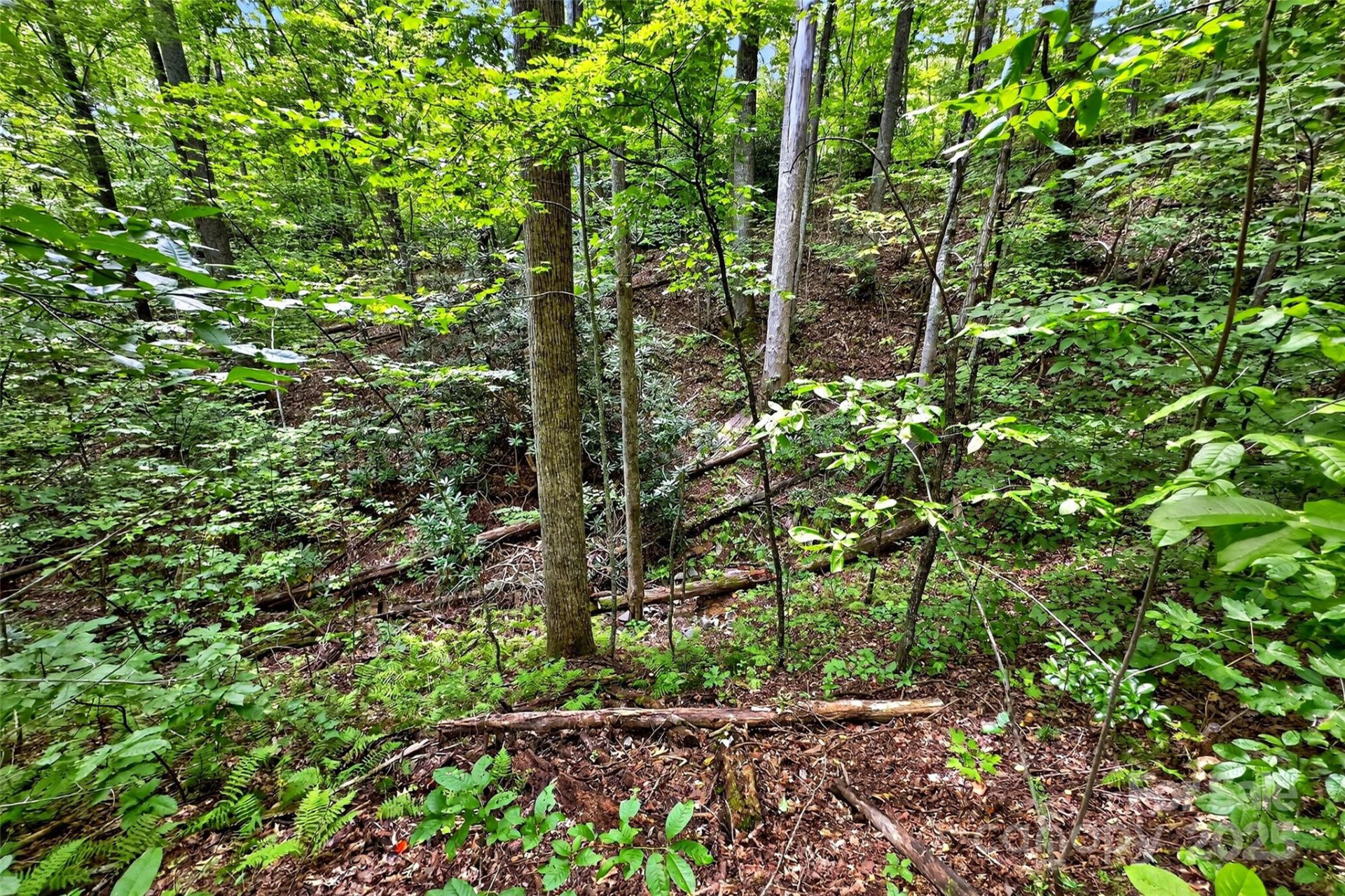 100 Comet Falls Trail #235 - Photo 3