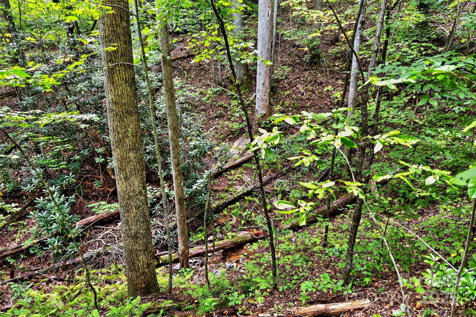 100 Comet Falls Trail #235 - Photo 4