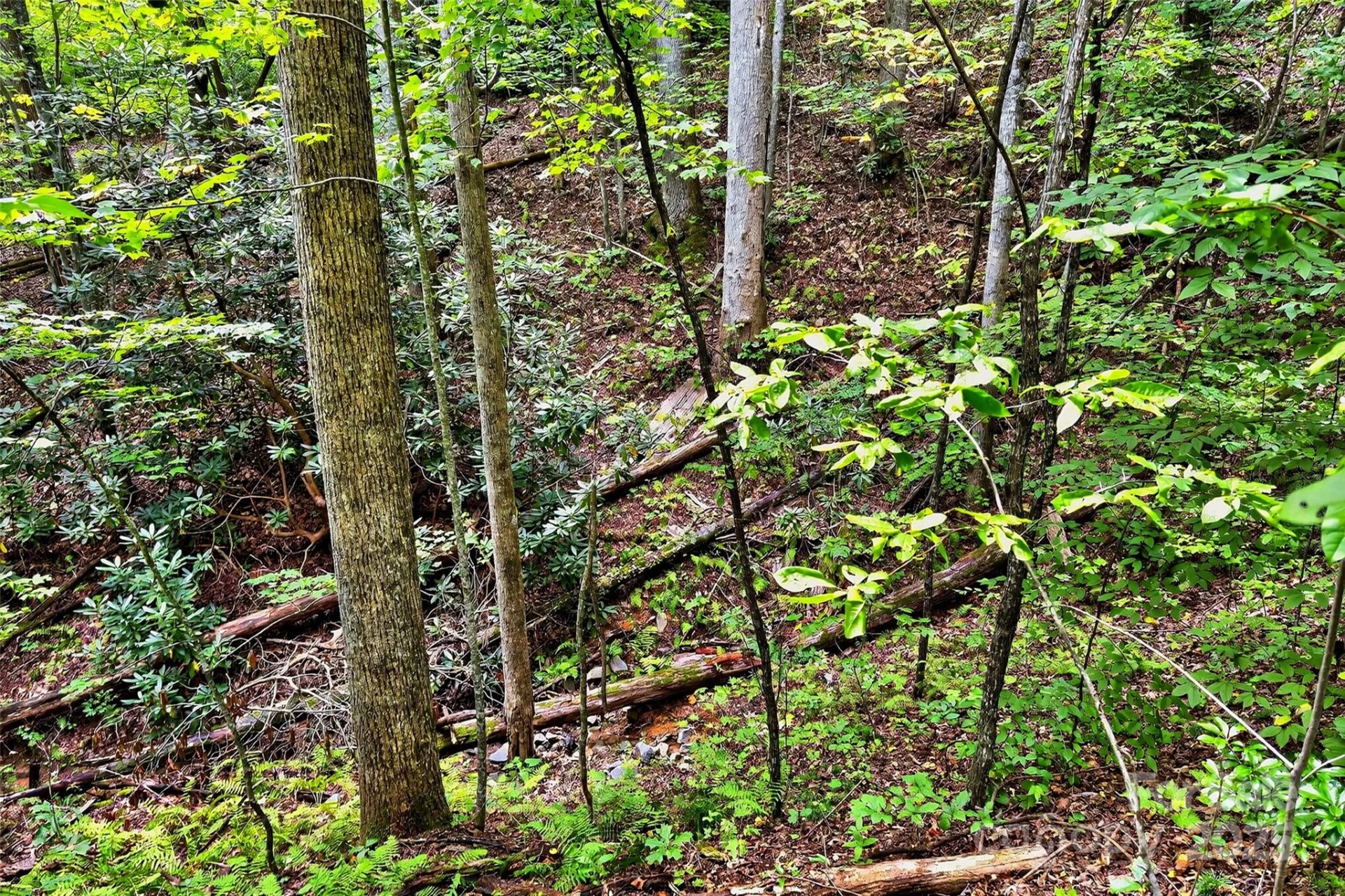 100 Comet Falls Trail #235 - Photo 4