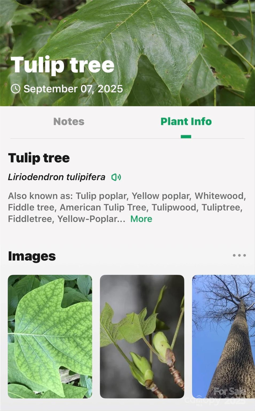 100 Comet Falls Trail #235 - Photo 32