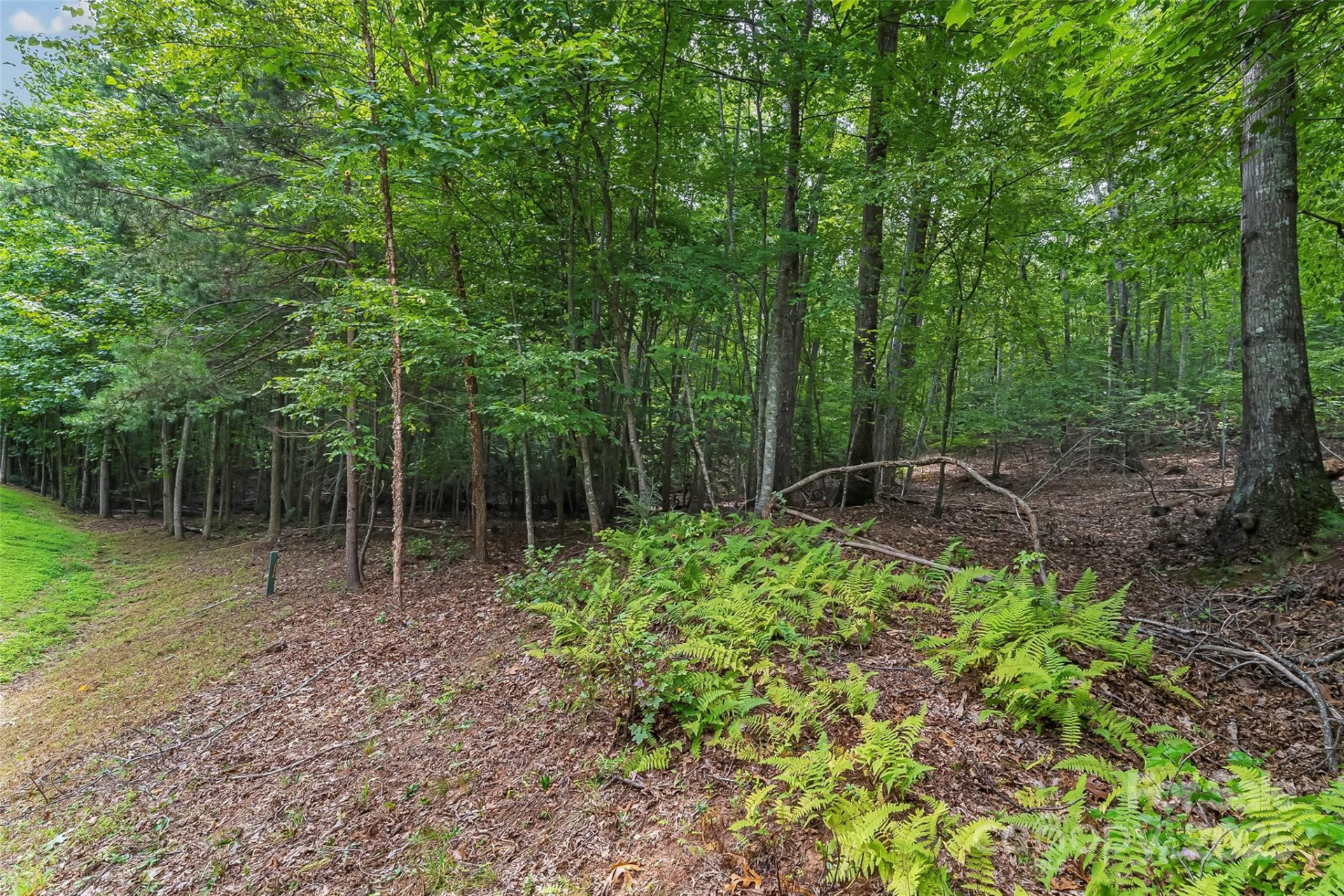 377 Harborside Drive #245 - Photo 13