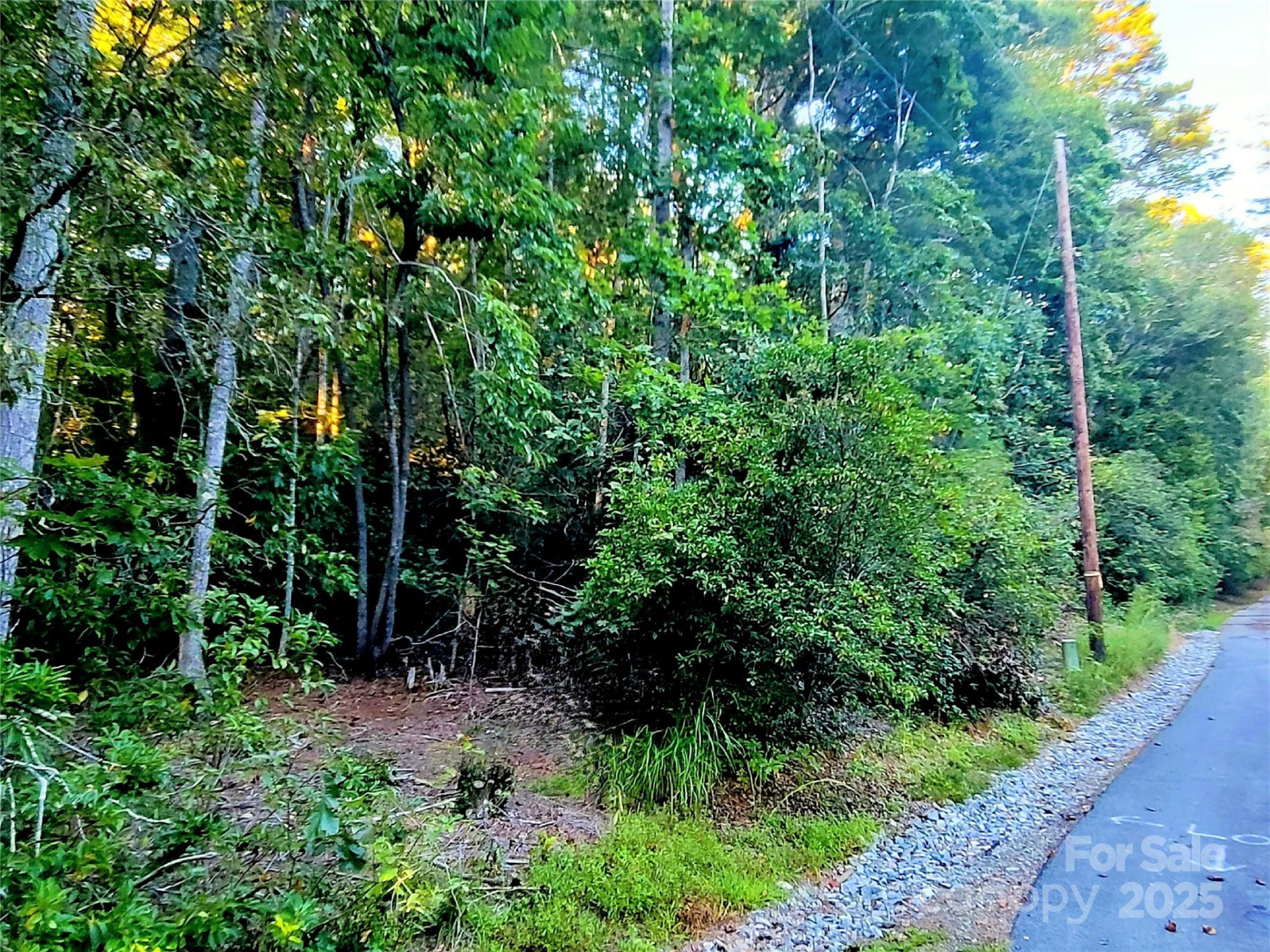 0 Broyles Road - Photo 5