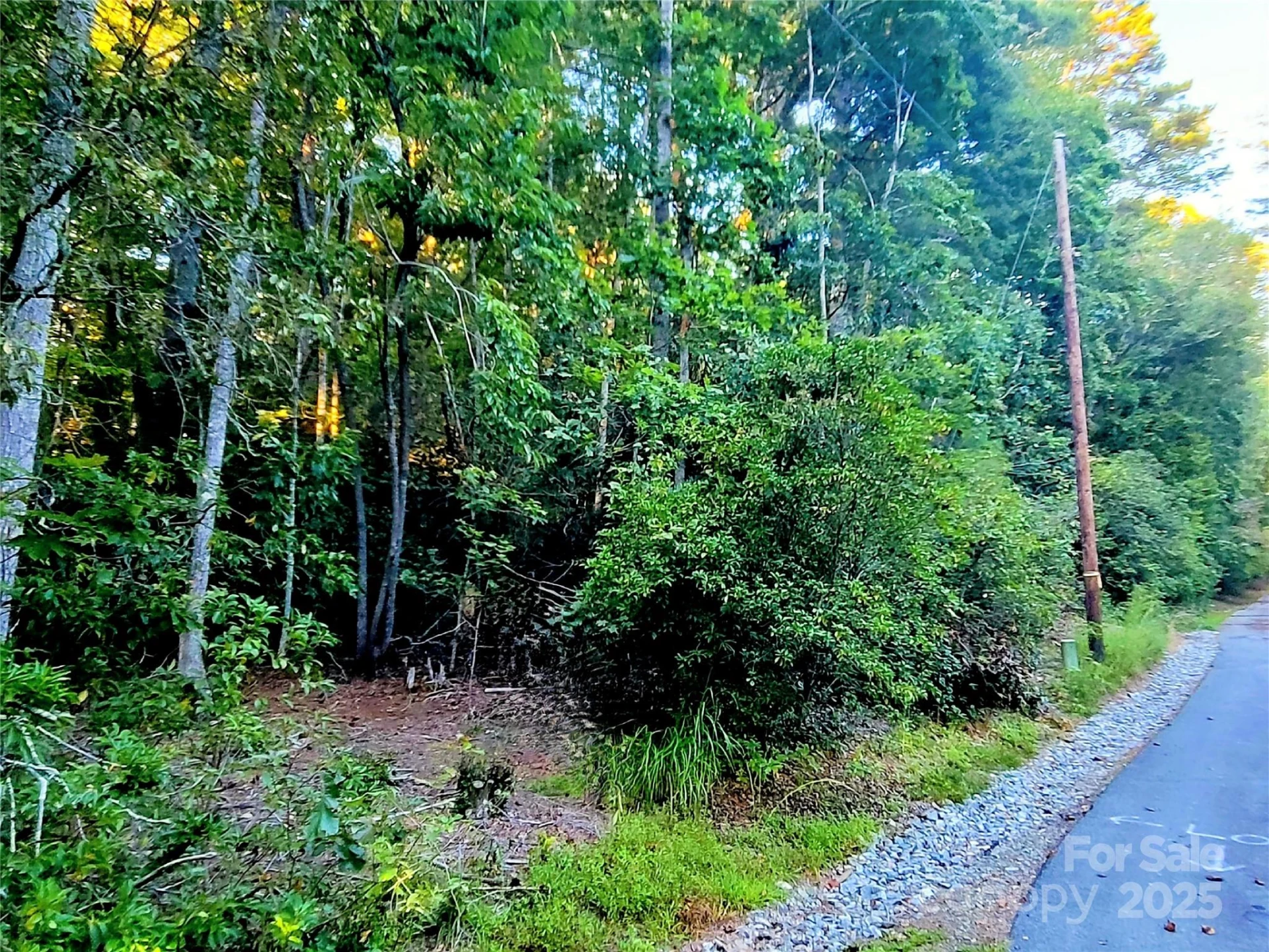 0 Broyles Road - Photo 5
