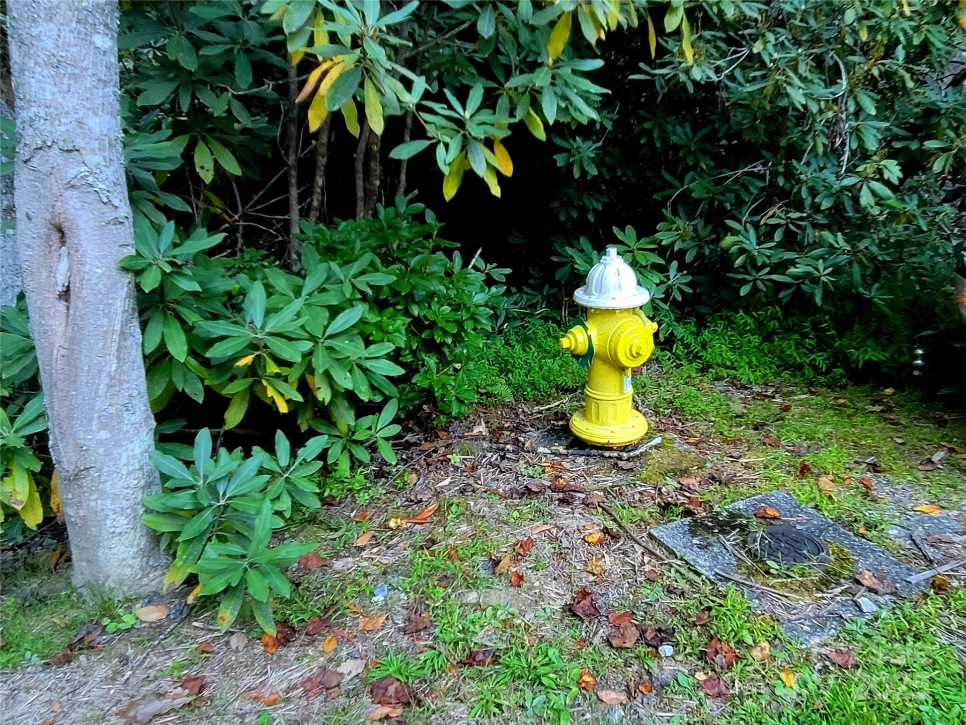 0 Broyles Road - Photo 6