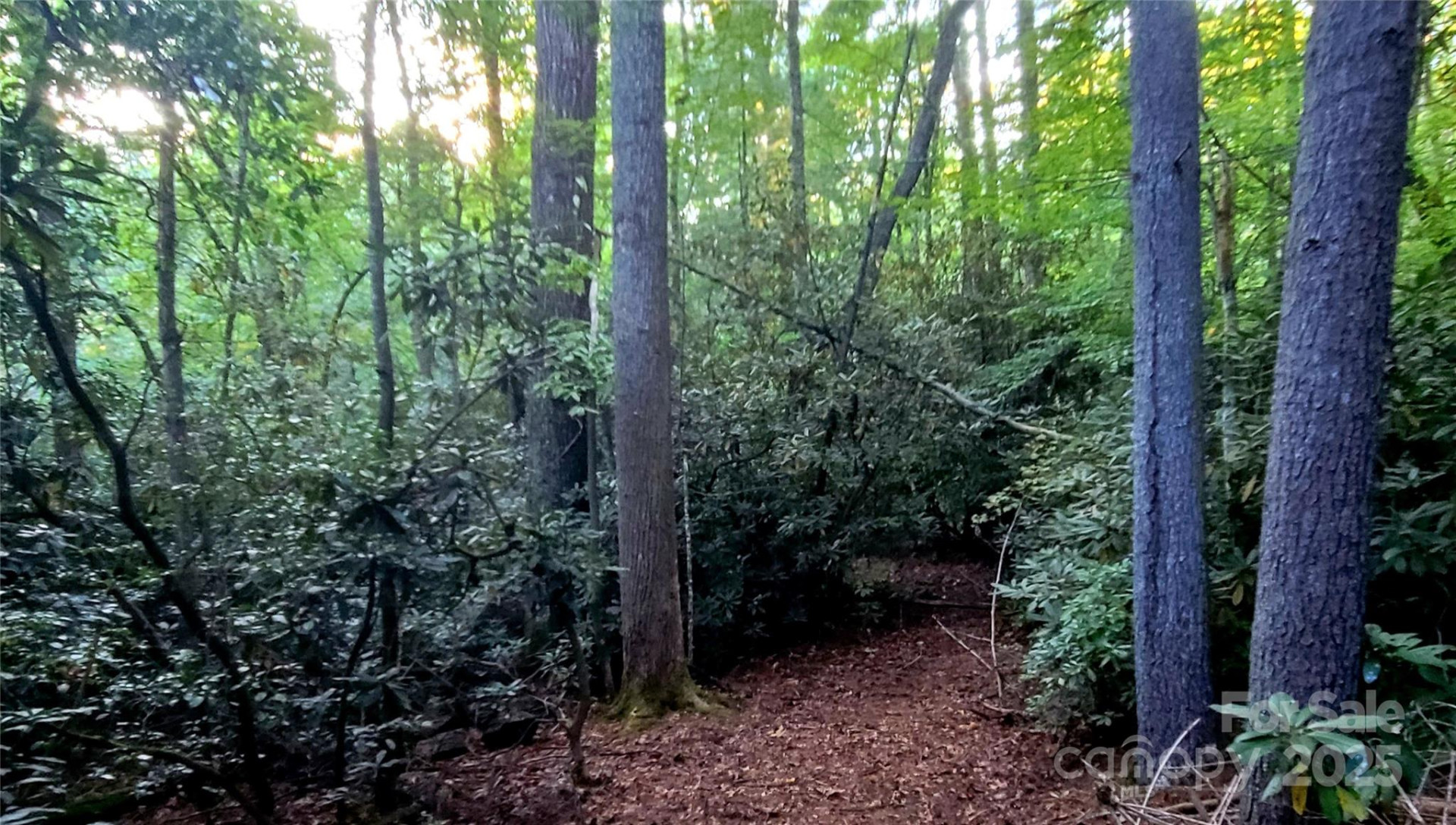 0 Broyles Road - Photo 8