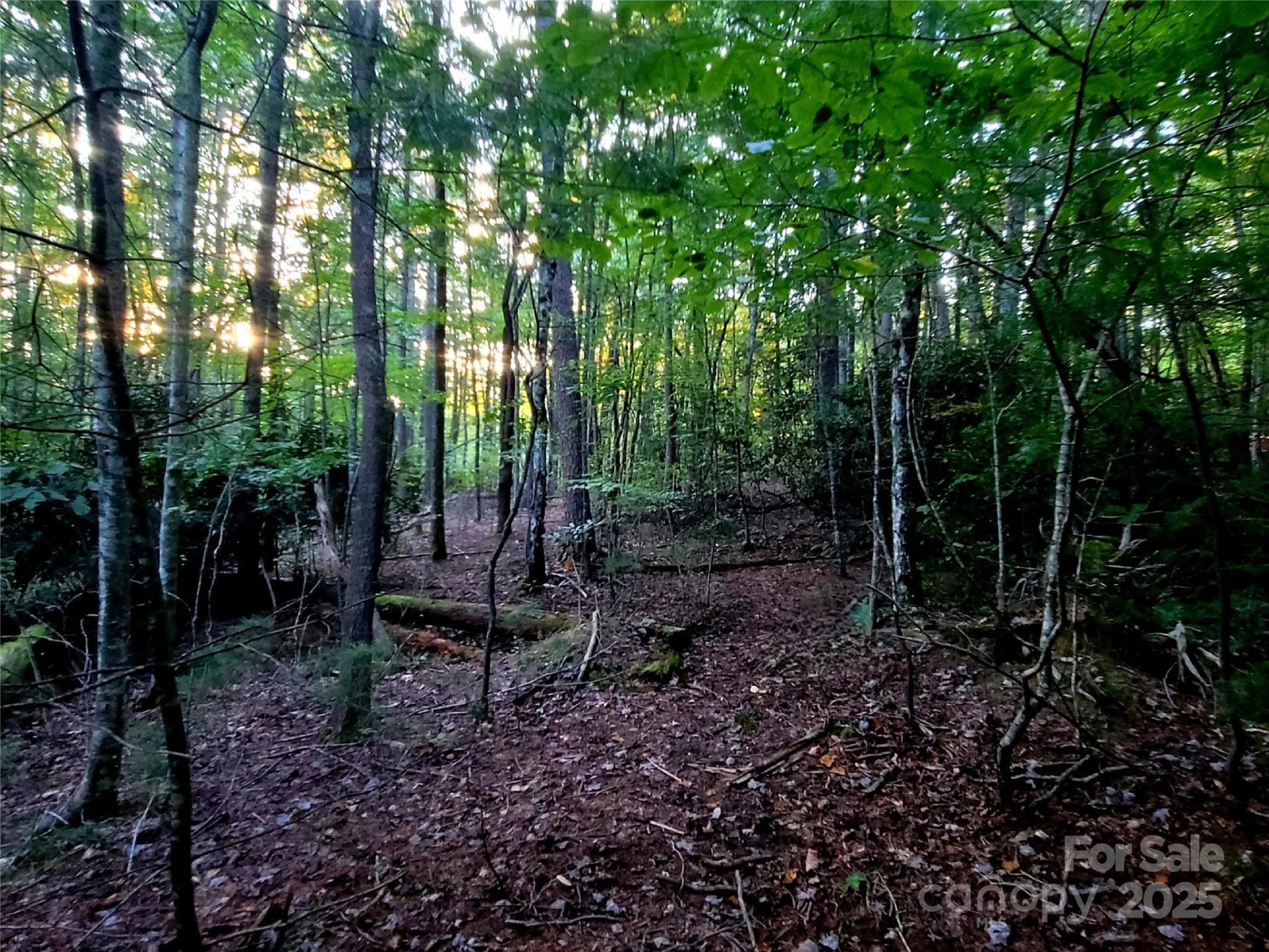 0 Broyles Road - Photo 9