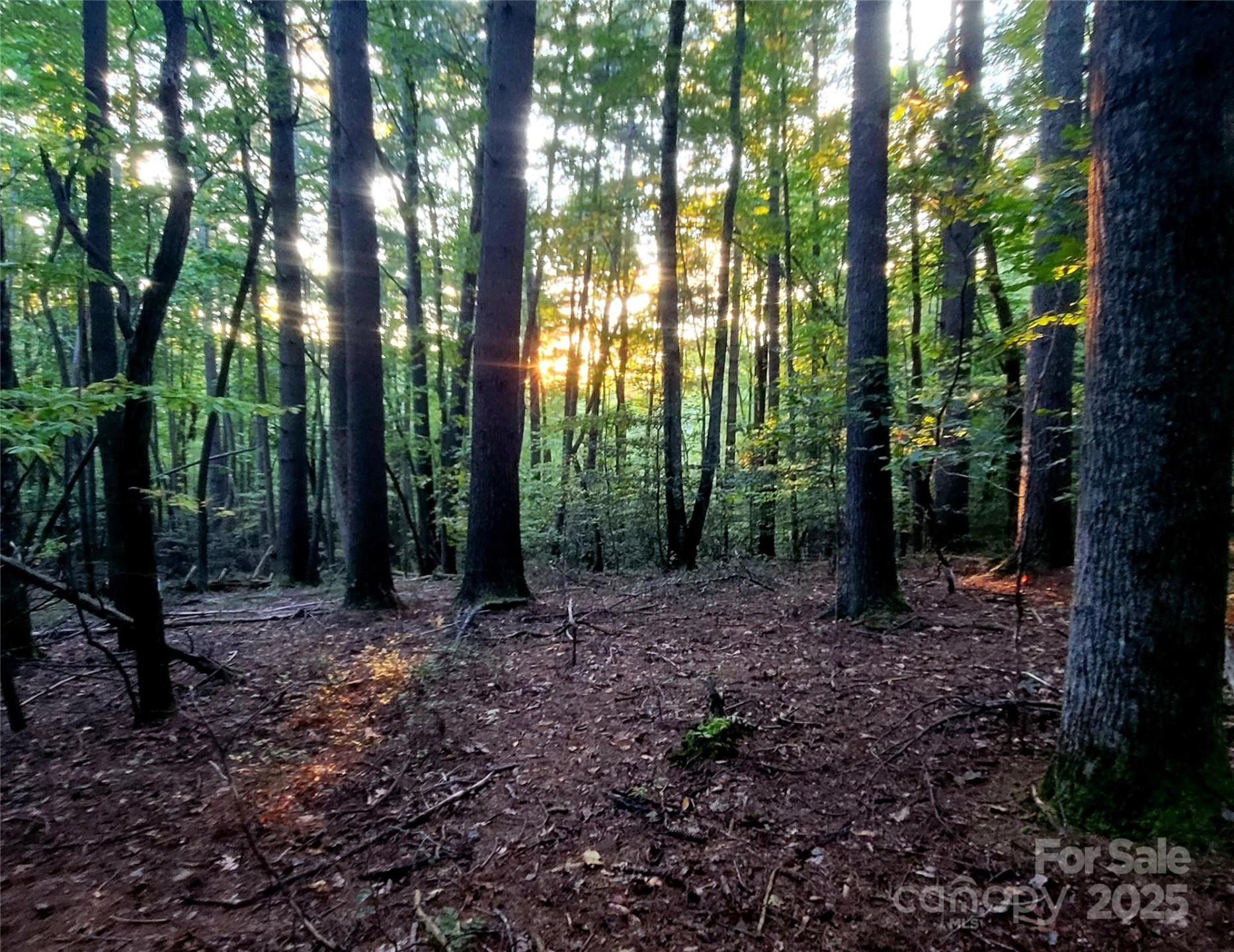 0 Broyles Road - Photo 10