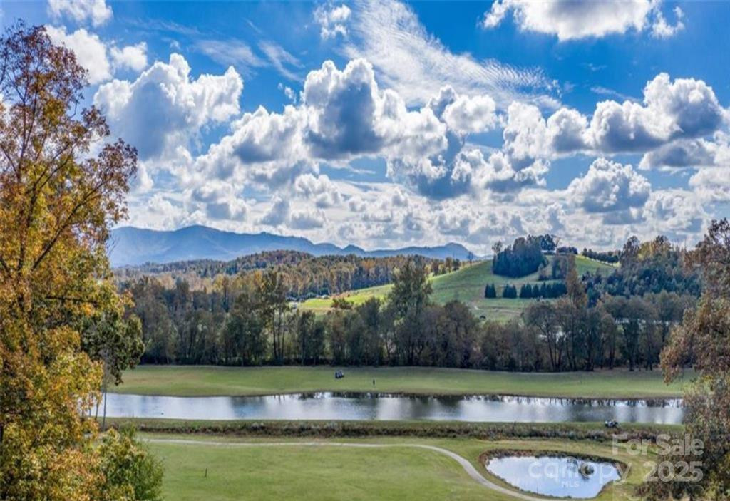 4617 Bristol Drive #13 - Photo 5