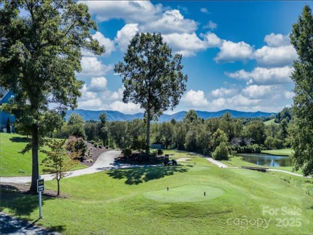 4617 Bristol Drive #13 - Photo 6