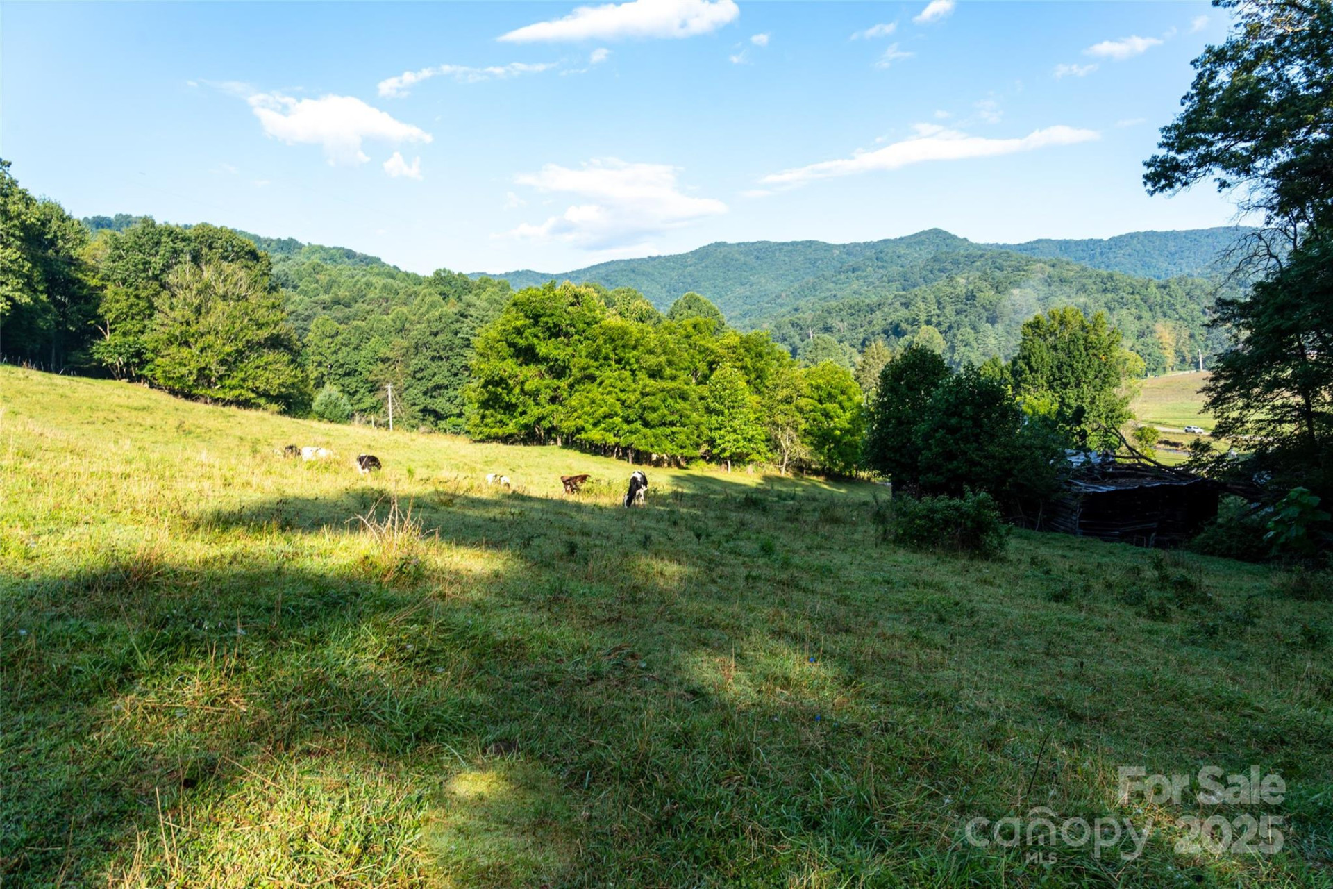 44 Jenkins Road - Photo 11