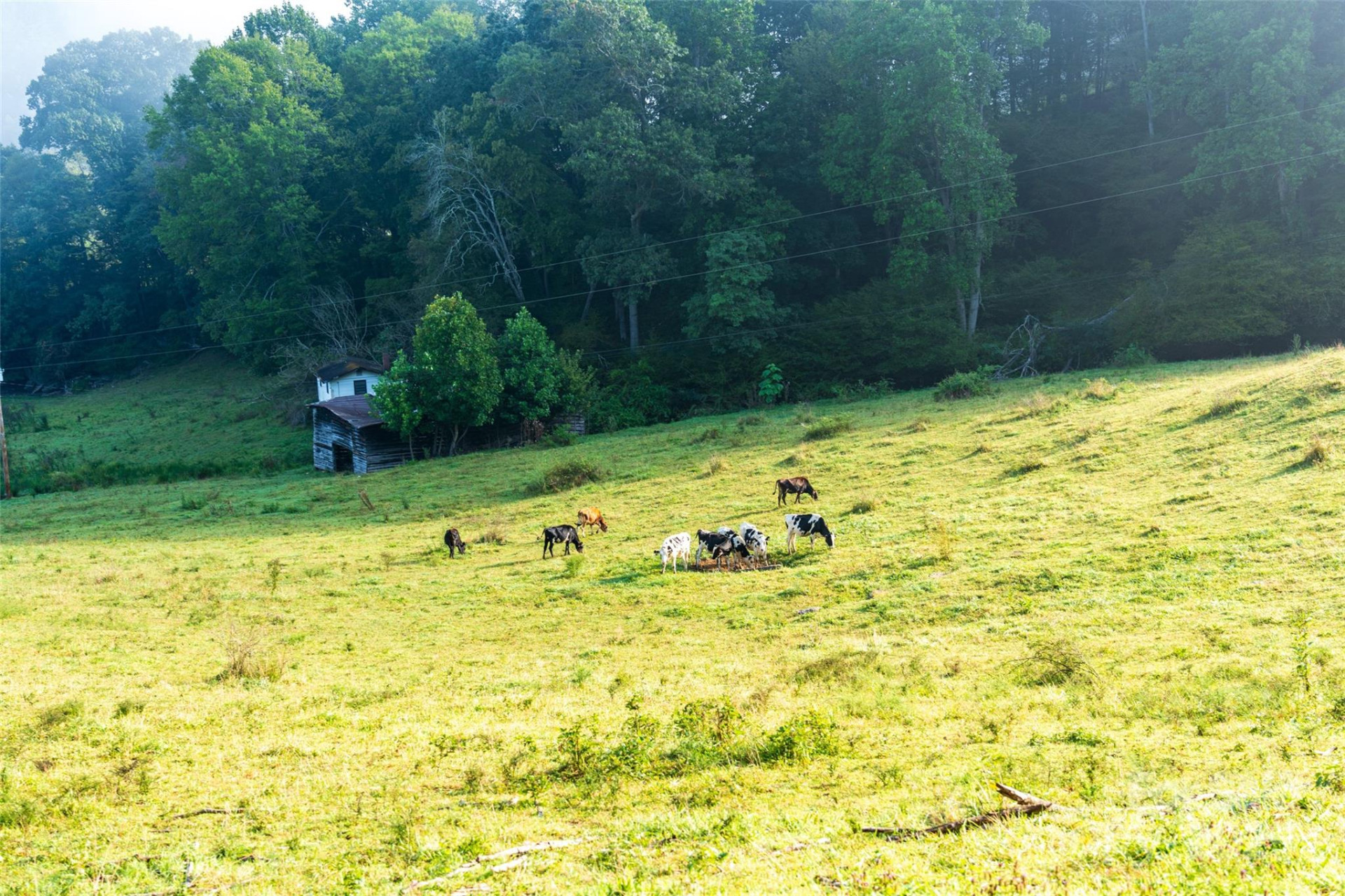 44 Jenkins Road - Photo 12