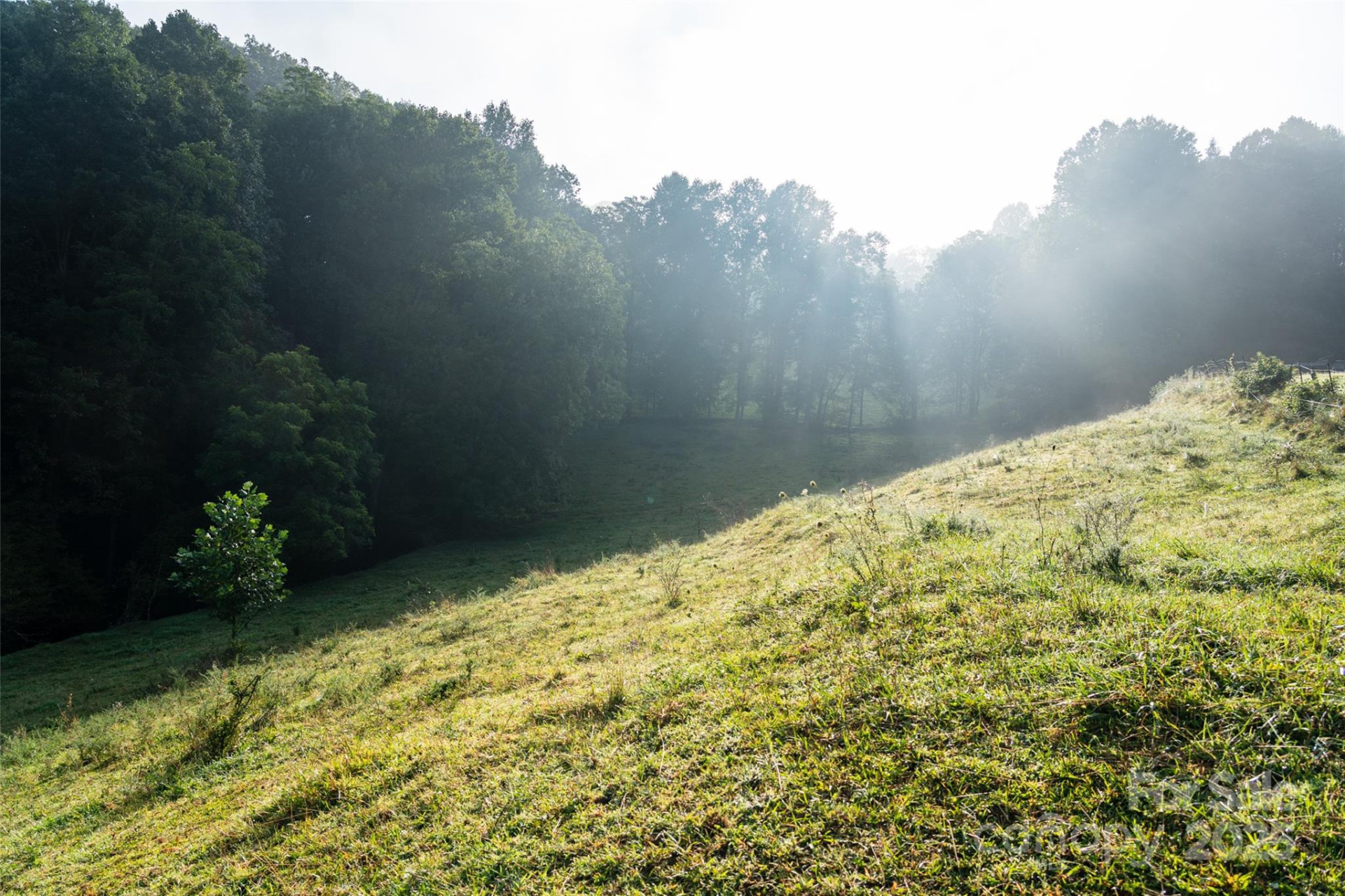 44 Jenkins Road - Photo 13