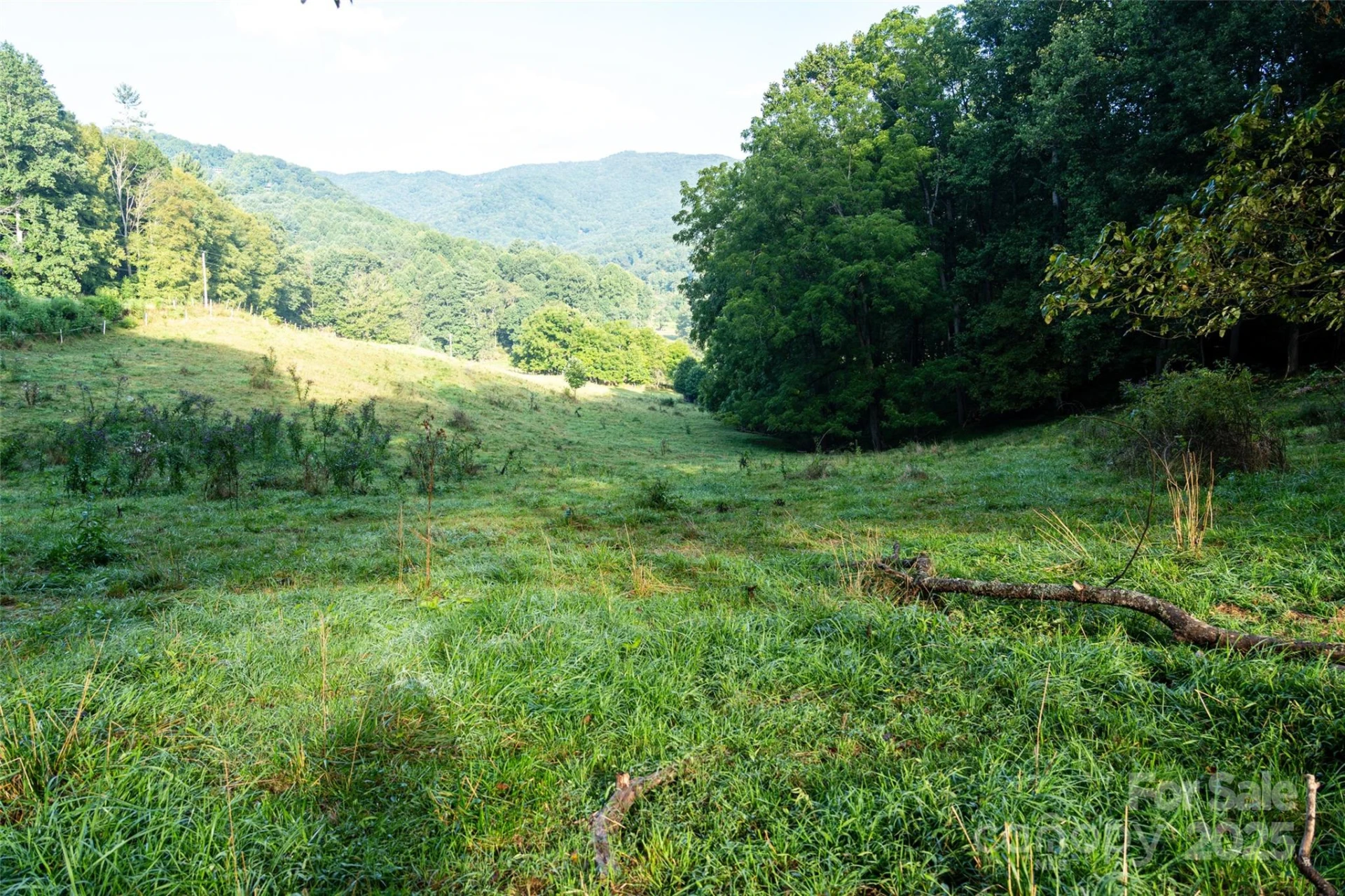 44 Jenkins Road - Photo 14