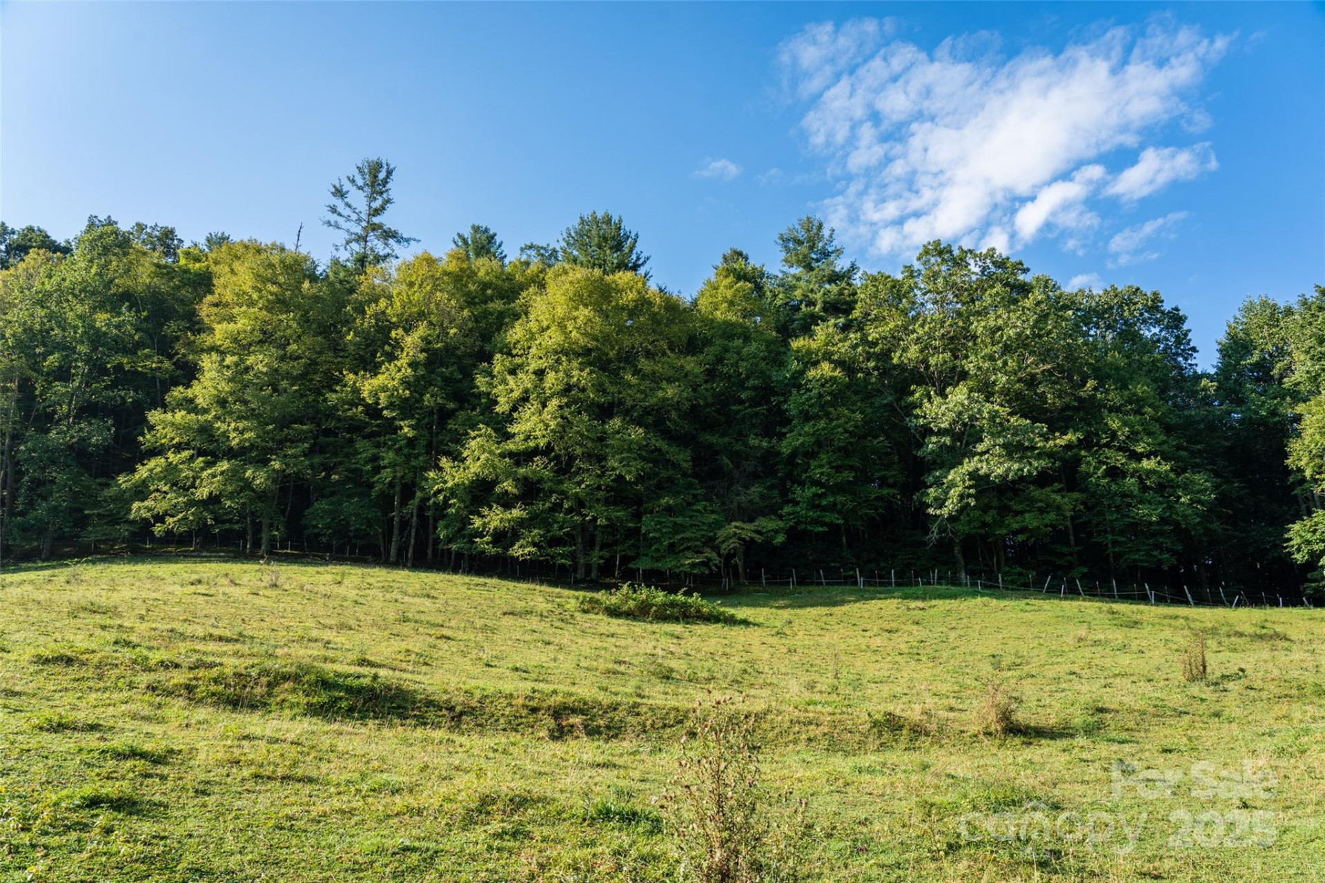 44 Jenkins Road - Photo 15