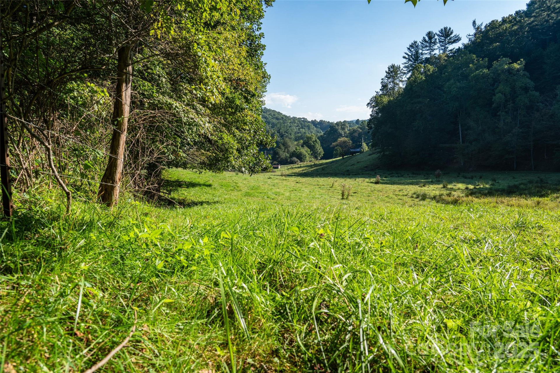 44 Jenkins Road - Photo 17