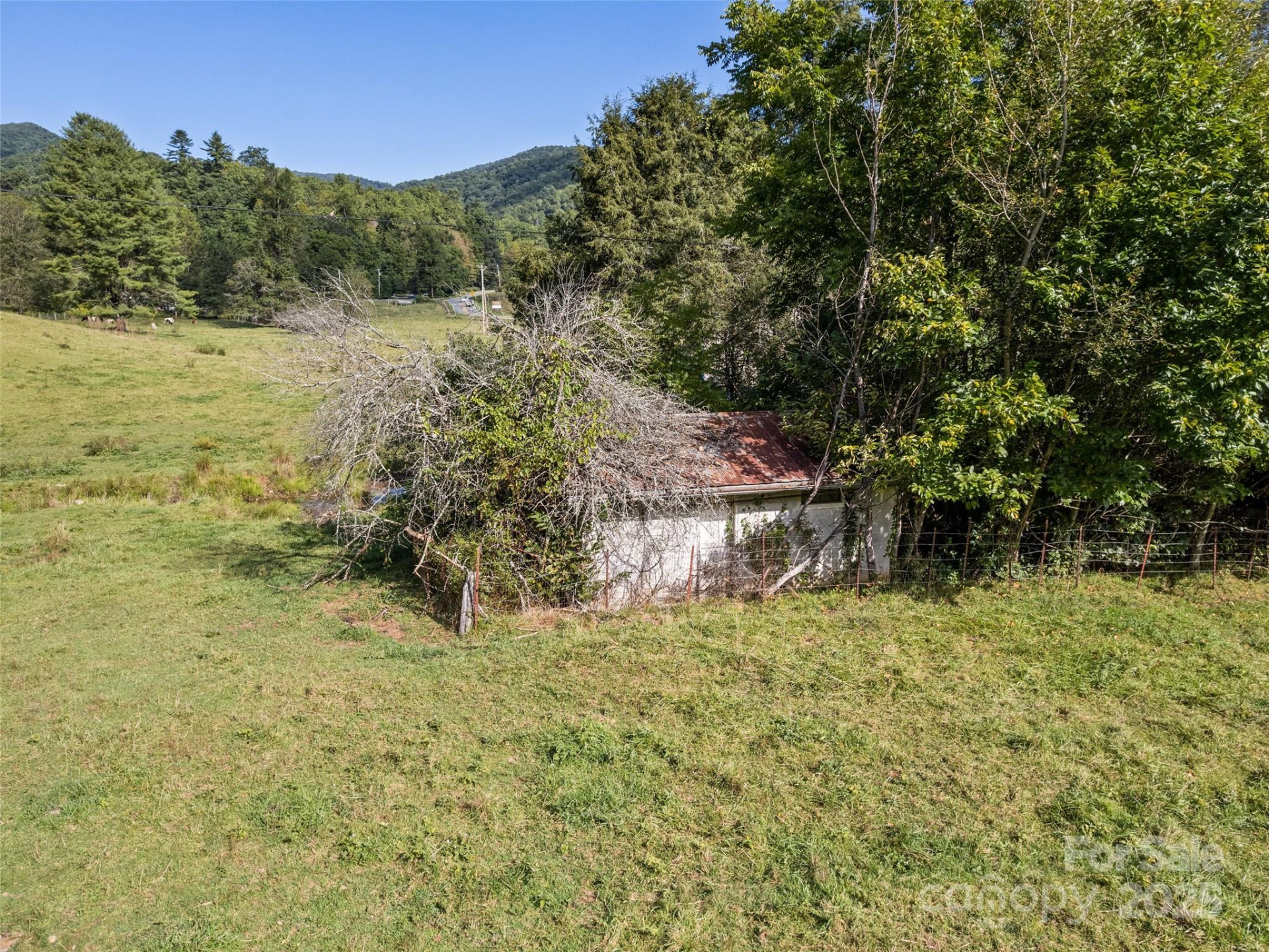 44 Jenkins Road - Photo 21