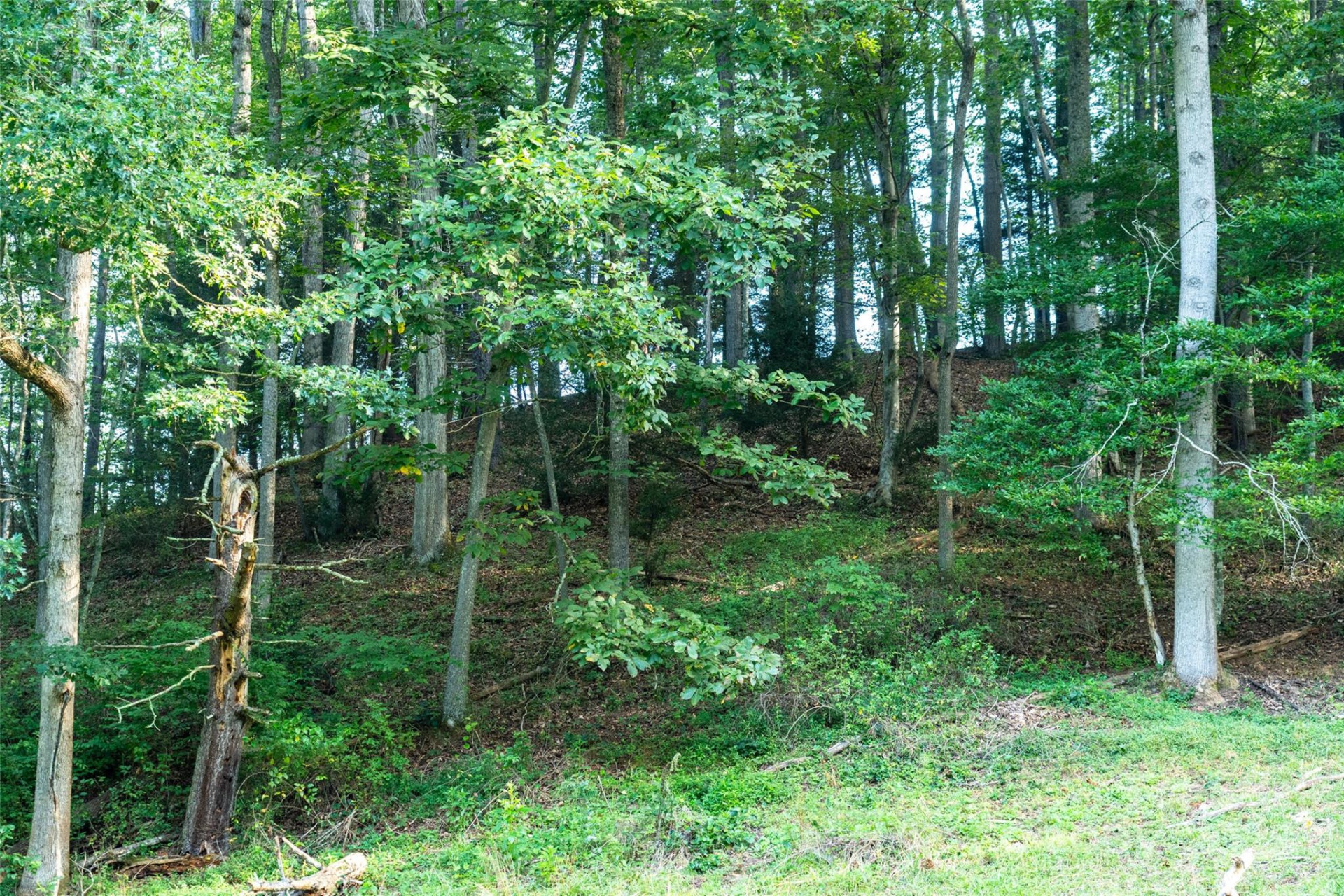 44 Jenkins Road - Photo 25