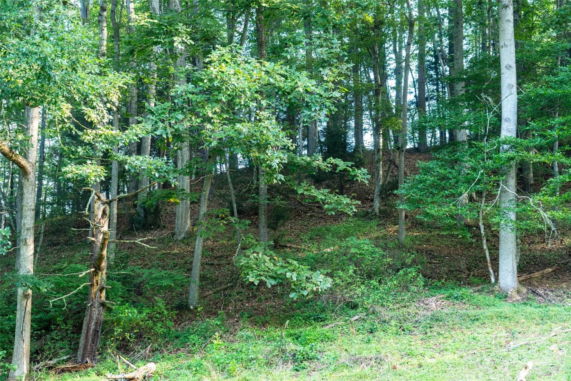 44 Jenkins Road - Photo 25