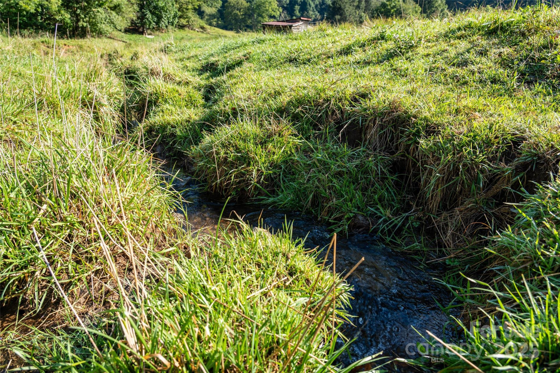 44 Jenkins Road - Photo 30