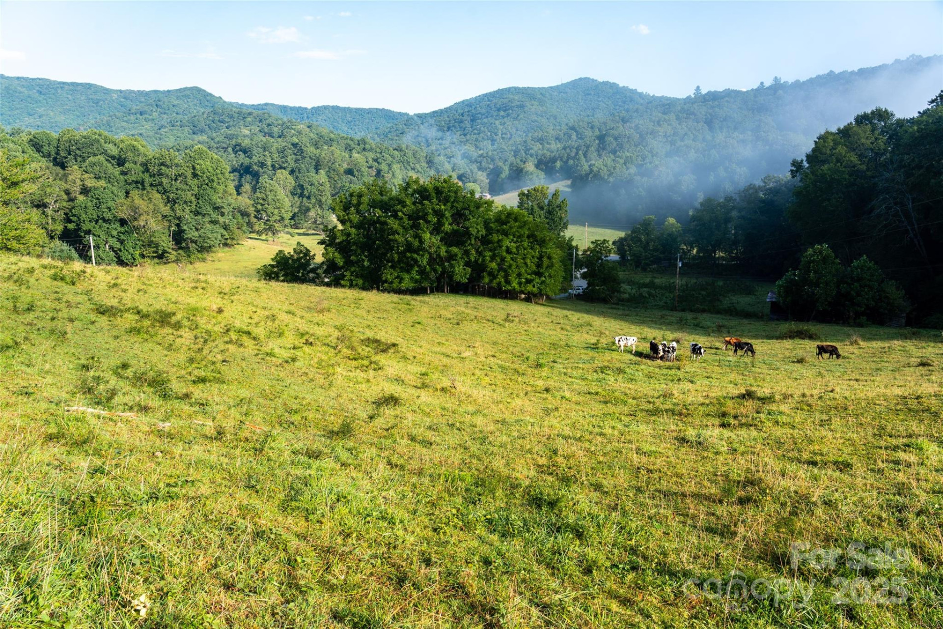 44 Jenkins Road - Photo 4