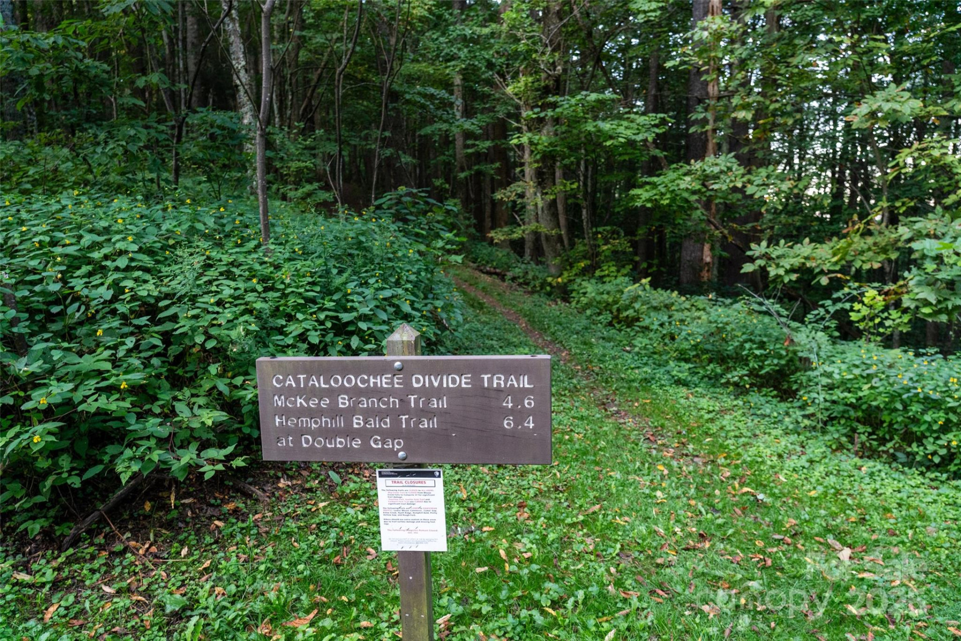 44 Jenkins Road - Photo 32