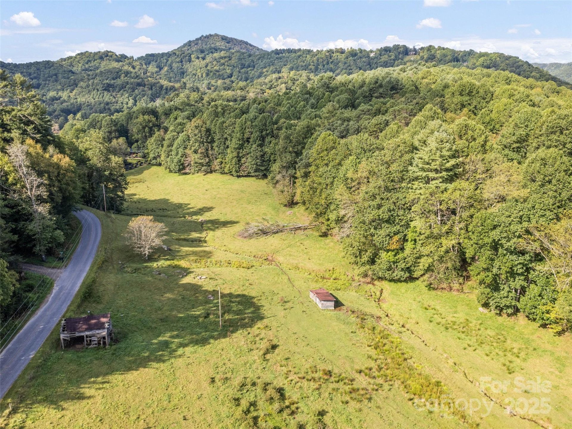 44 Jenkins Road - Photo 6