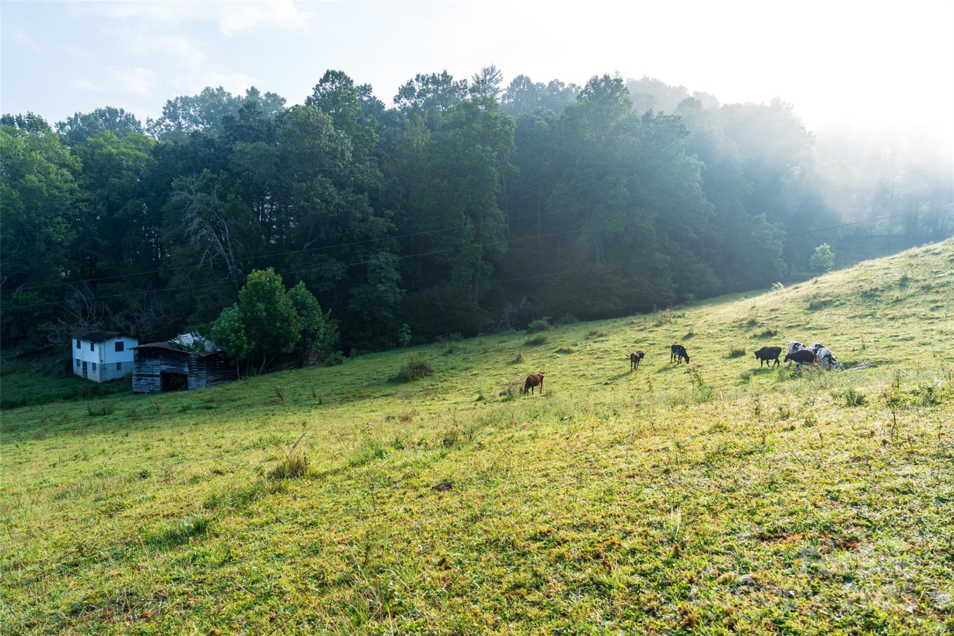 44 Jenkins Road - Photo 8