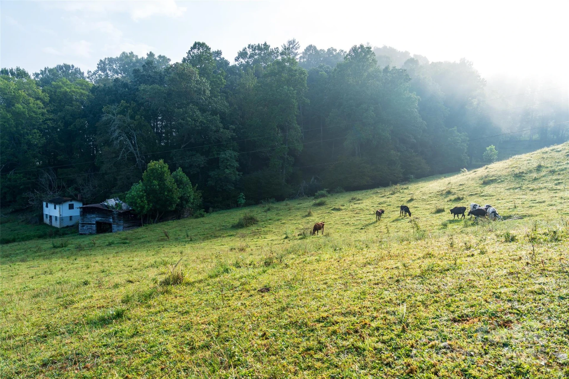 44 Jenkins Road - Photo 8