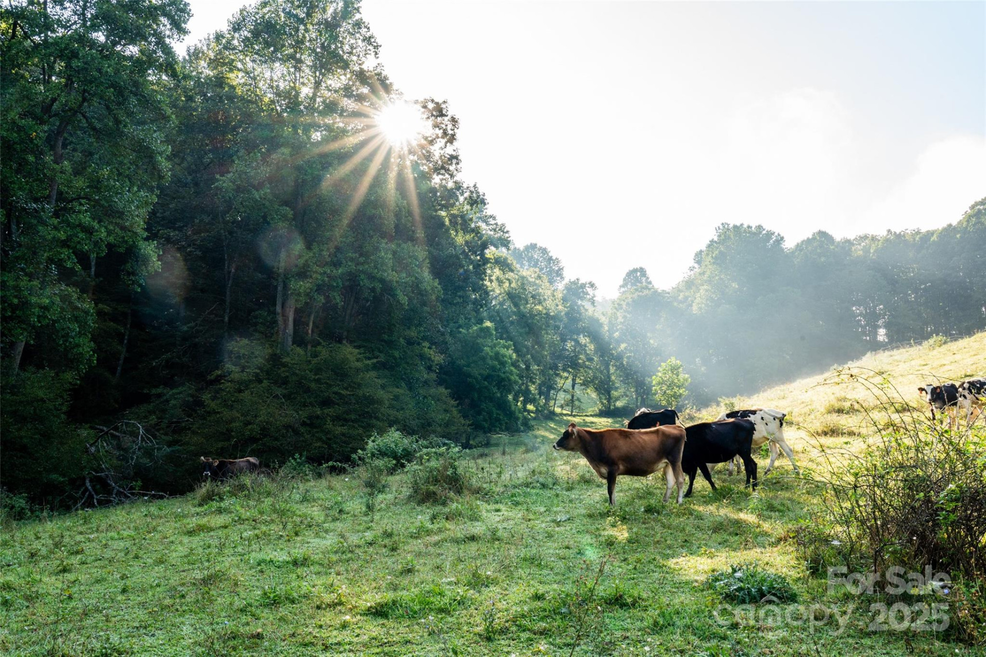 44 Jenkins Road - Photo 9