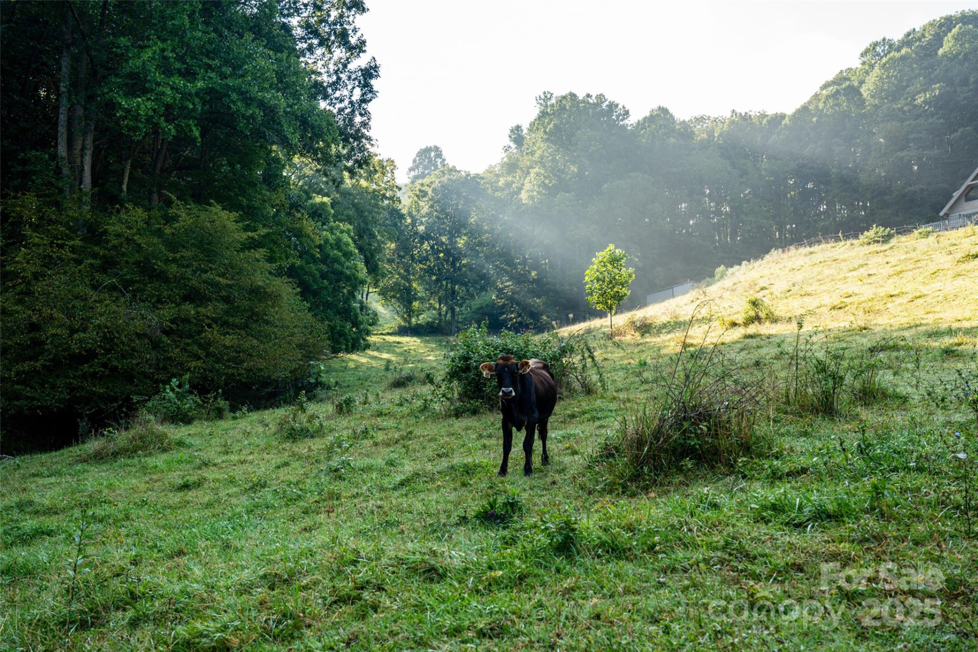 44 Jenkins Road - Photo 10