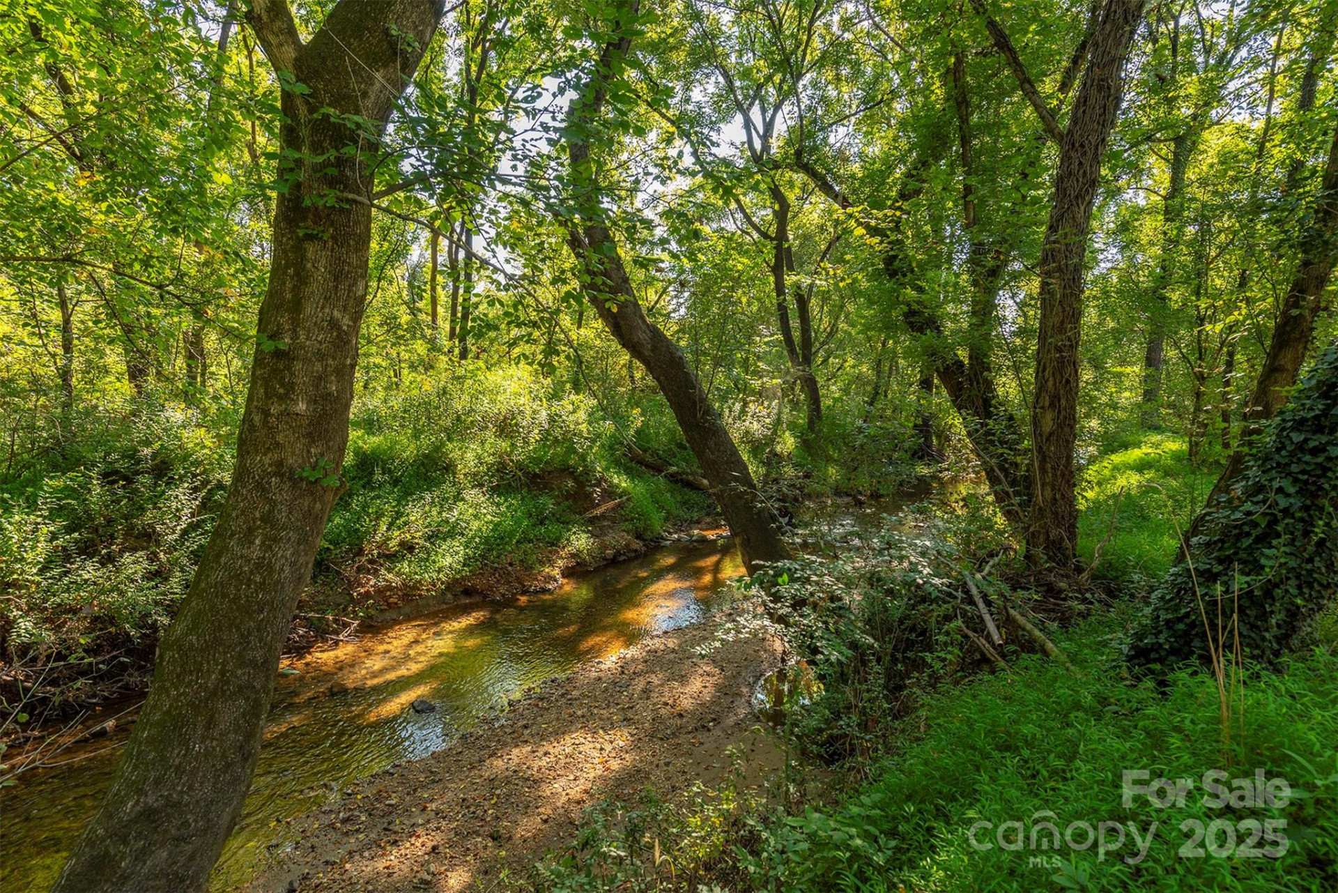 2305 Rutherford Road - Photo 36