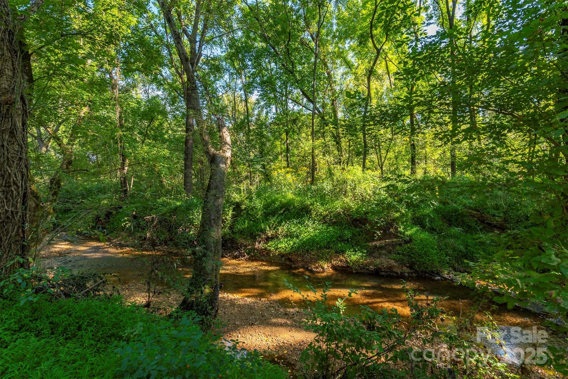 2305 Rutherford Road - Photo 37